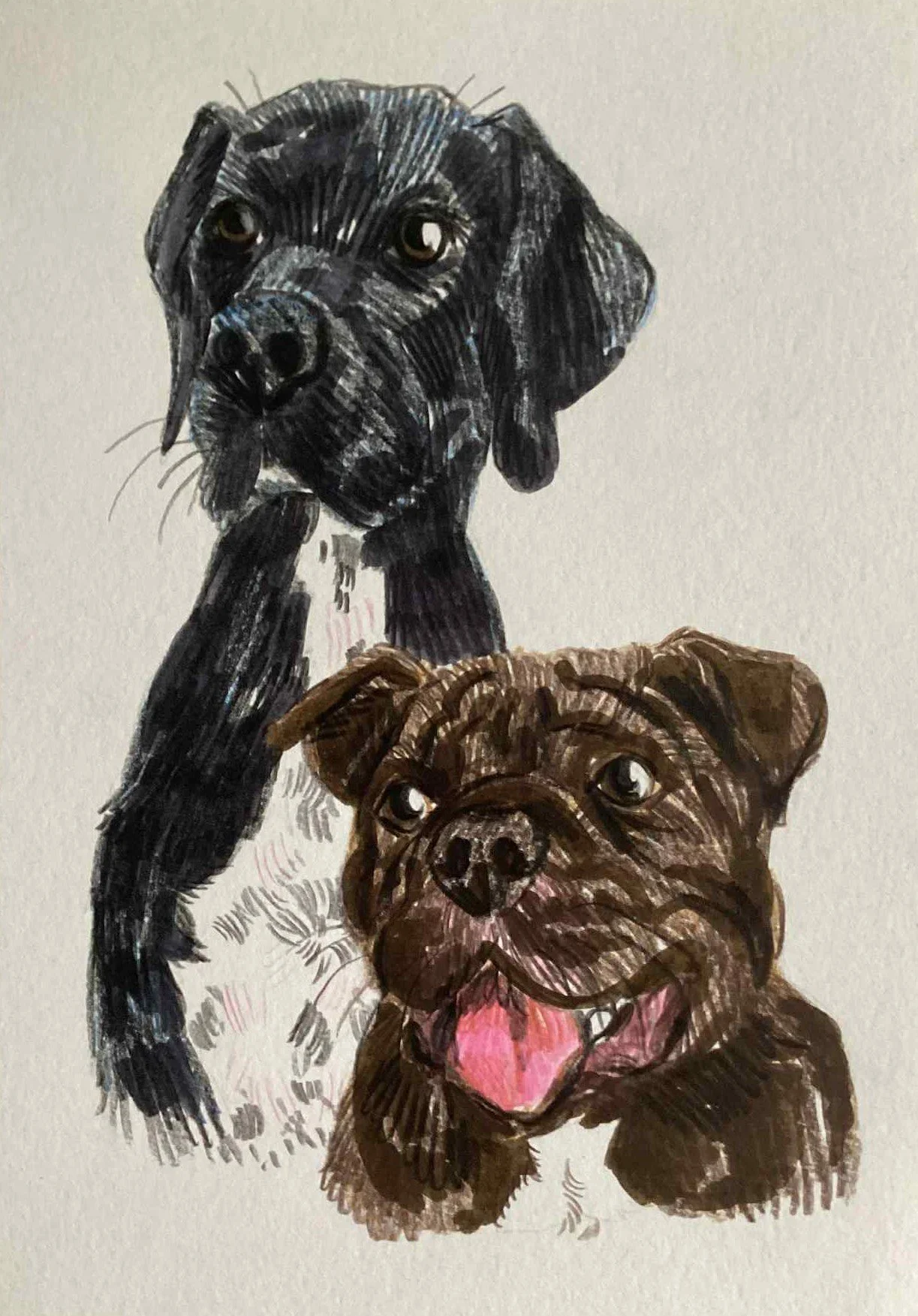 PORTRAIT crayons & feutres A5 (2 animaux)