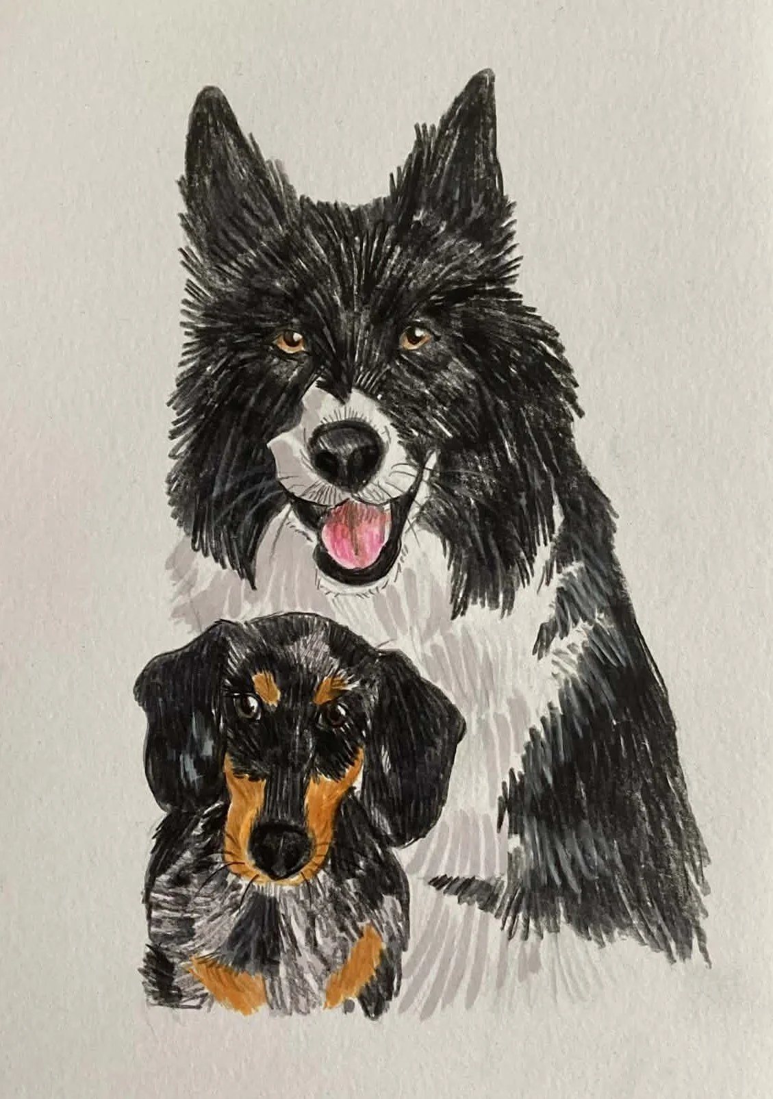 PORTRAIT crayons & feutres A4 (2 animaux)