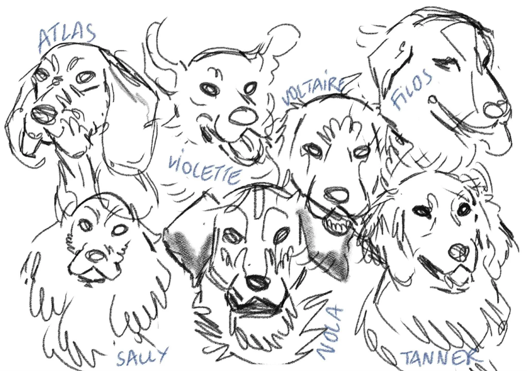 c1170708-2e65-4c8d-9692-65c7f200c7a5.jfif