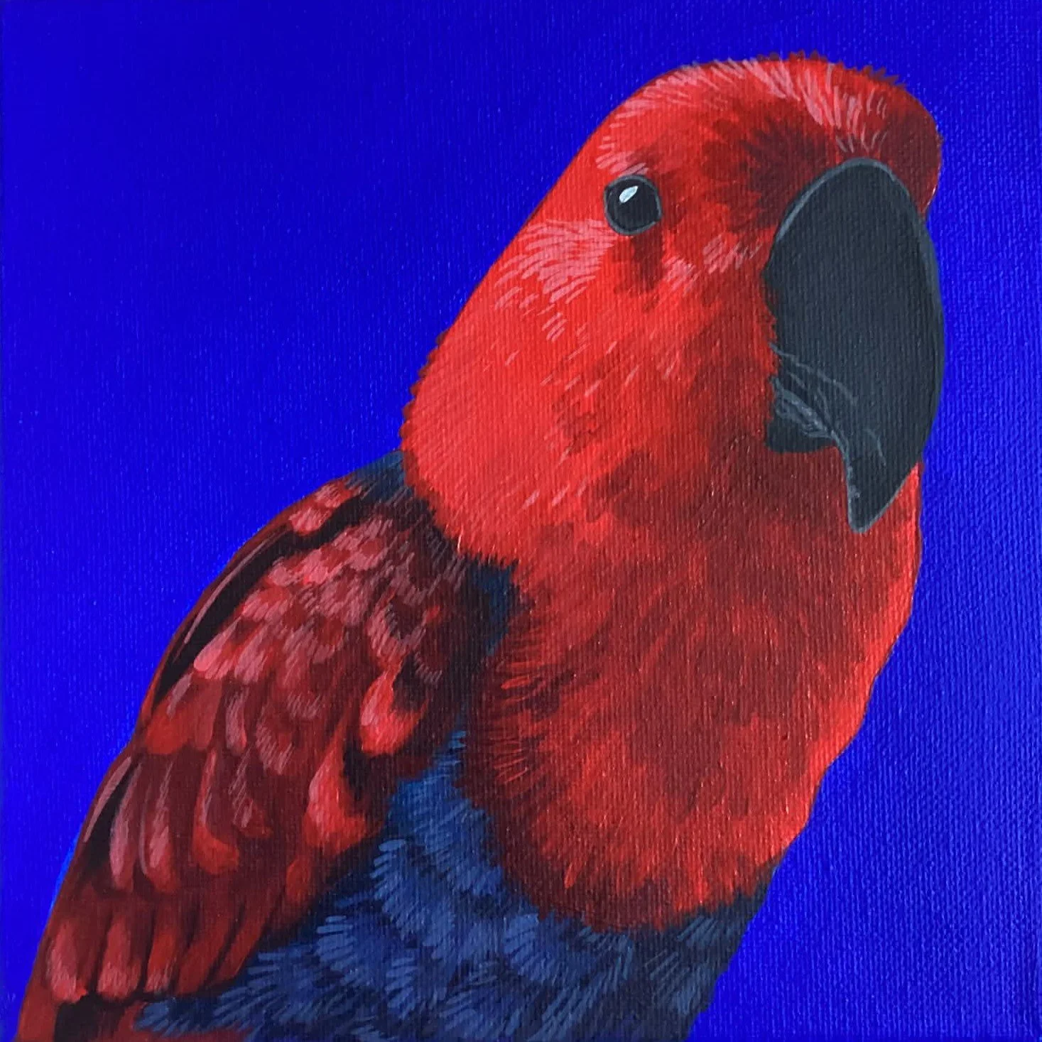 COUSCOUS
peinture acrylique sur toile grand carré