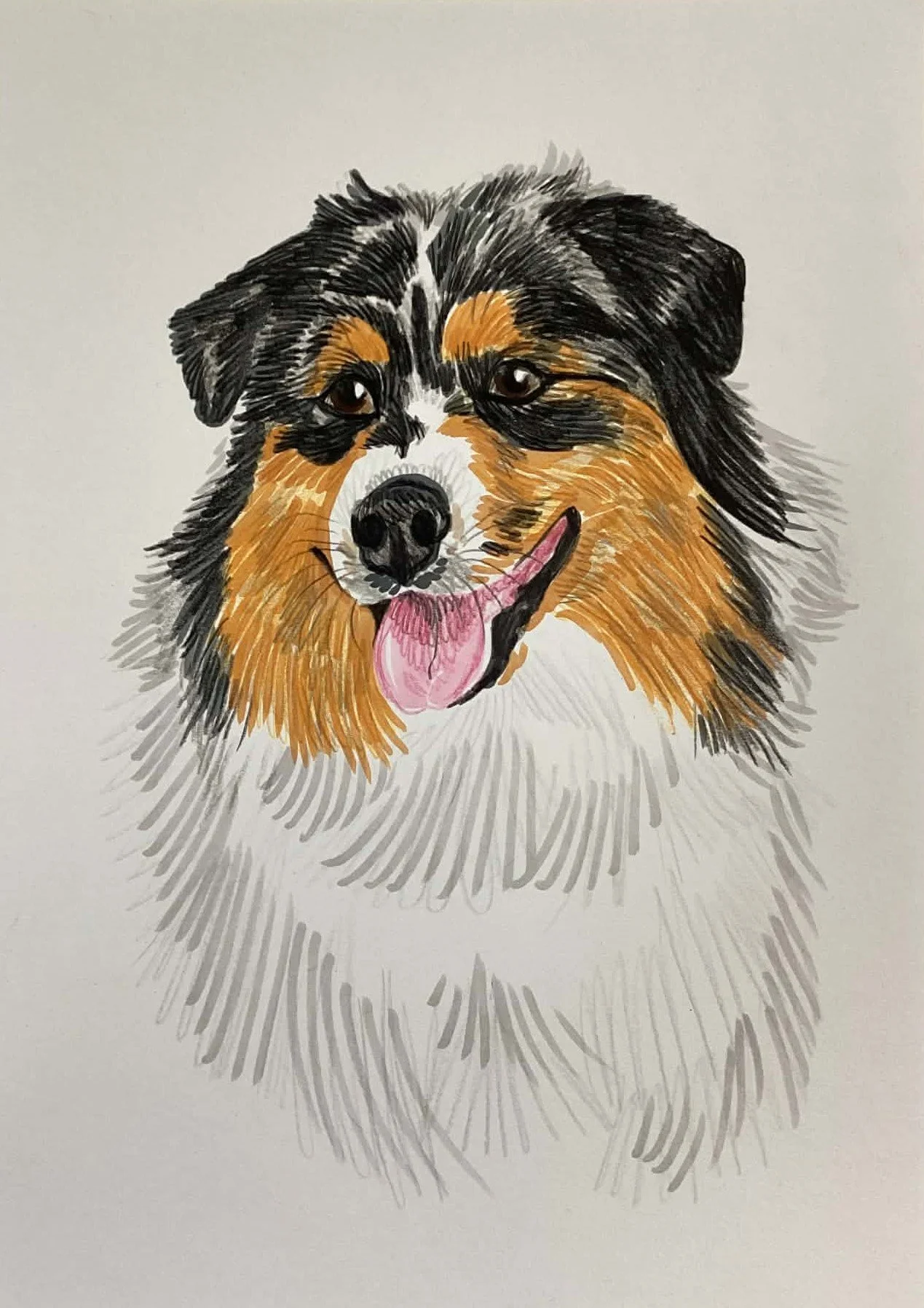 132 - 19fév2026.jpg