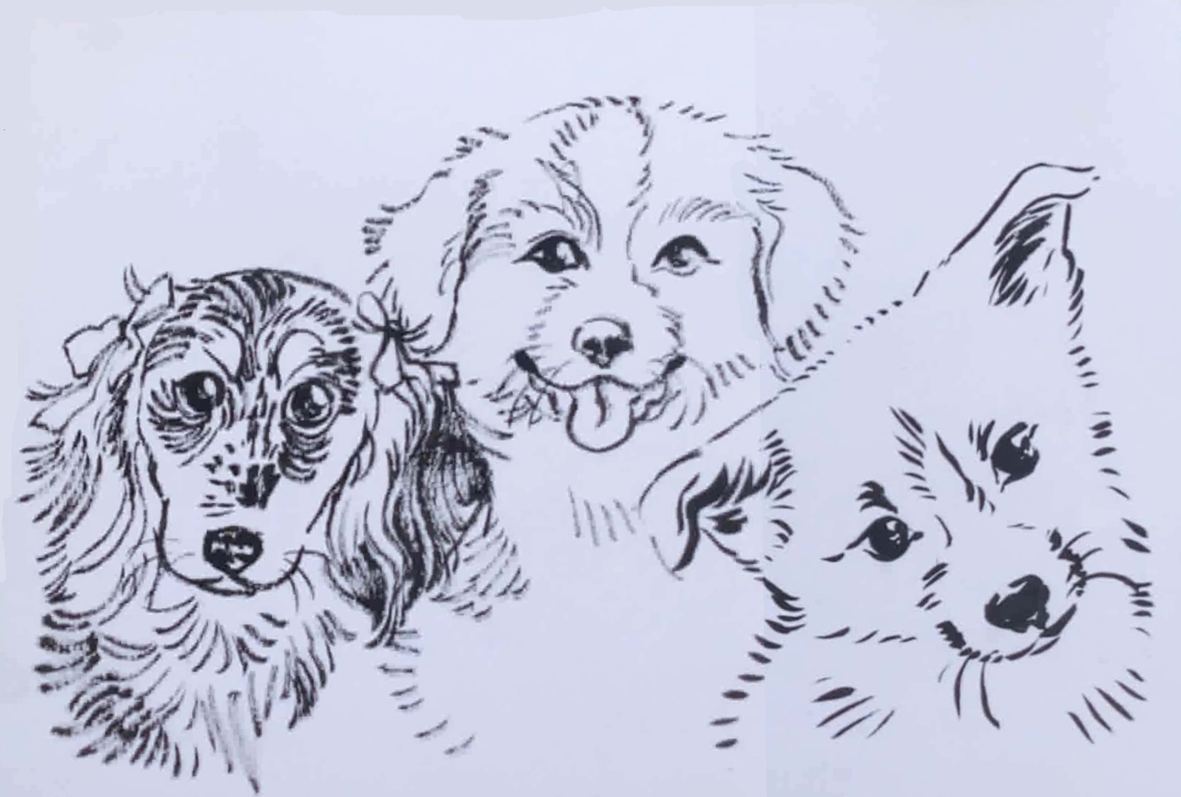 3 animaux NB.jpg
