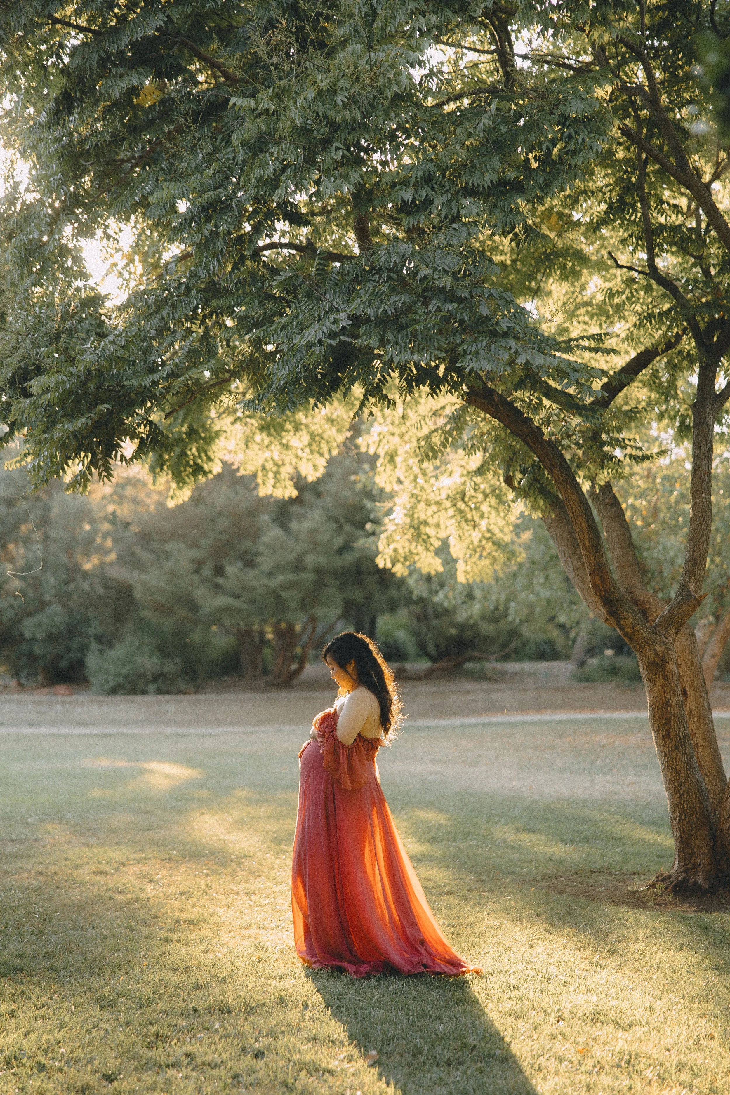 A pregnant woman in a flowing red dress standing under a large tree on a grassy lawn with sunlight filtering through the leaves.
