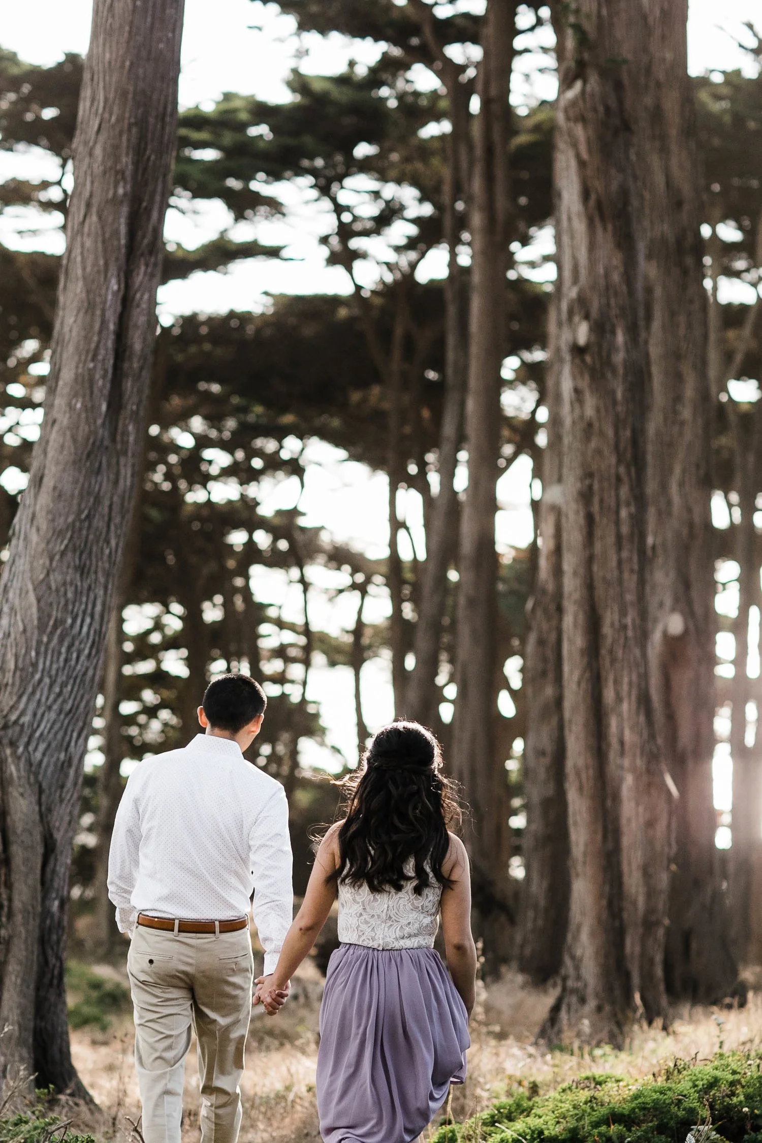 A couple holding hands walking through a forest of tall trees during daylight.