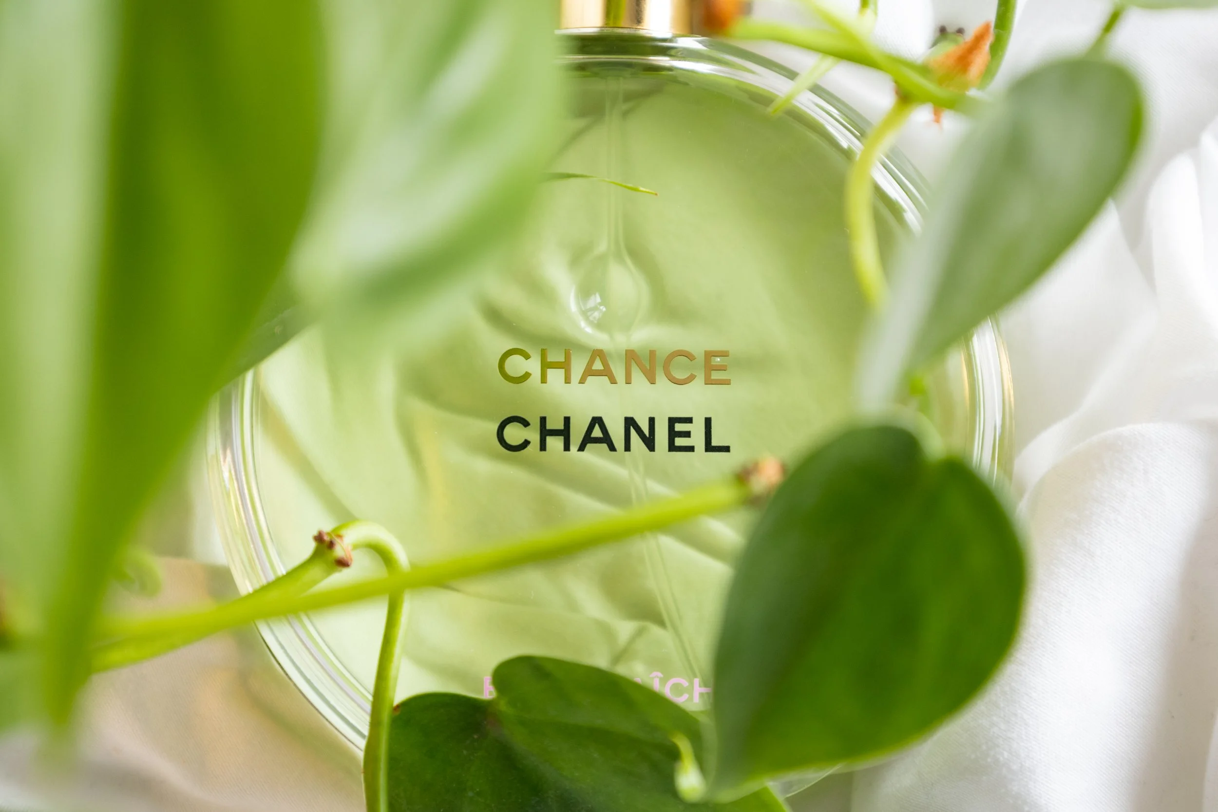 chanel-10.jpg