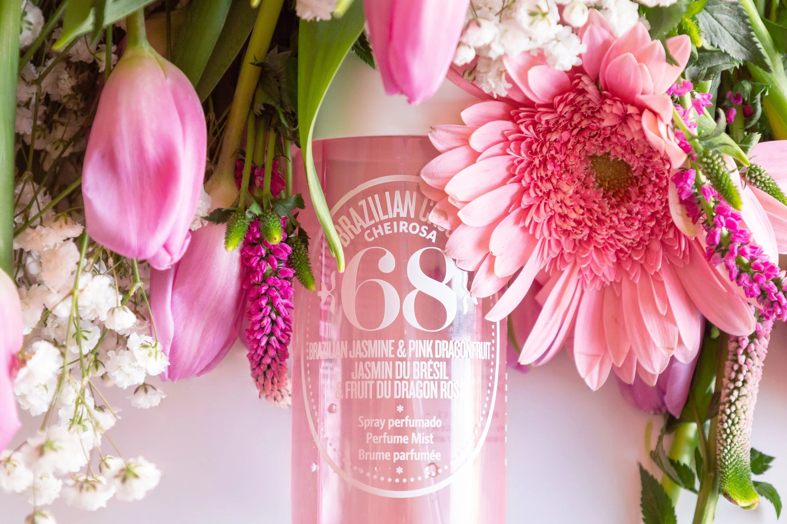 paytonpk_p2-10 copy.jpeg