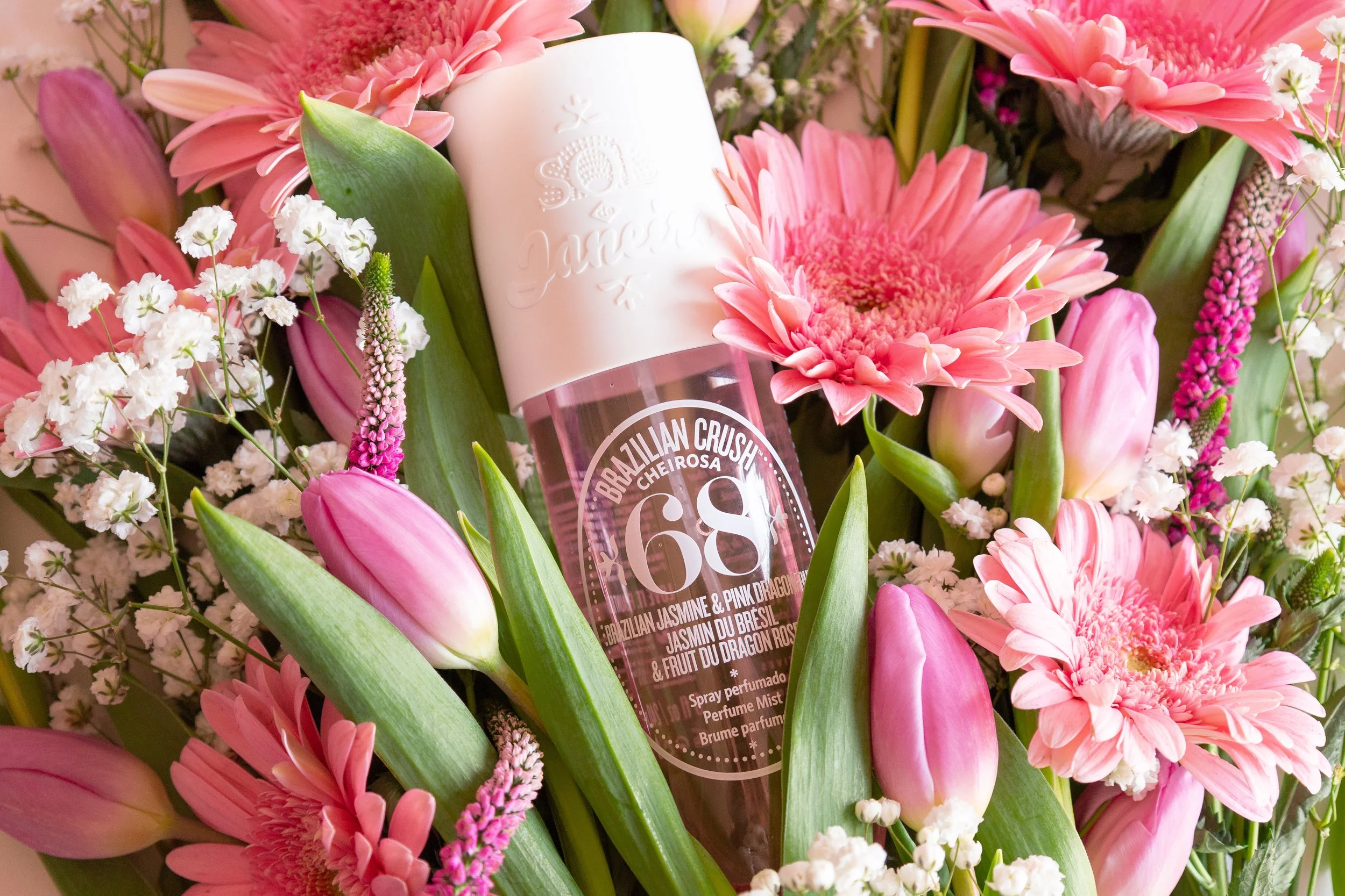 paytonpk_p2-8 copy.jpeg