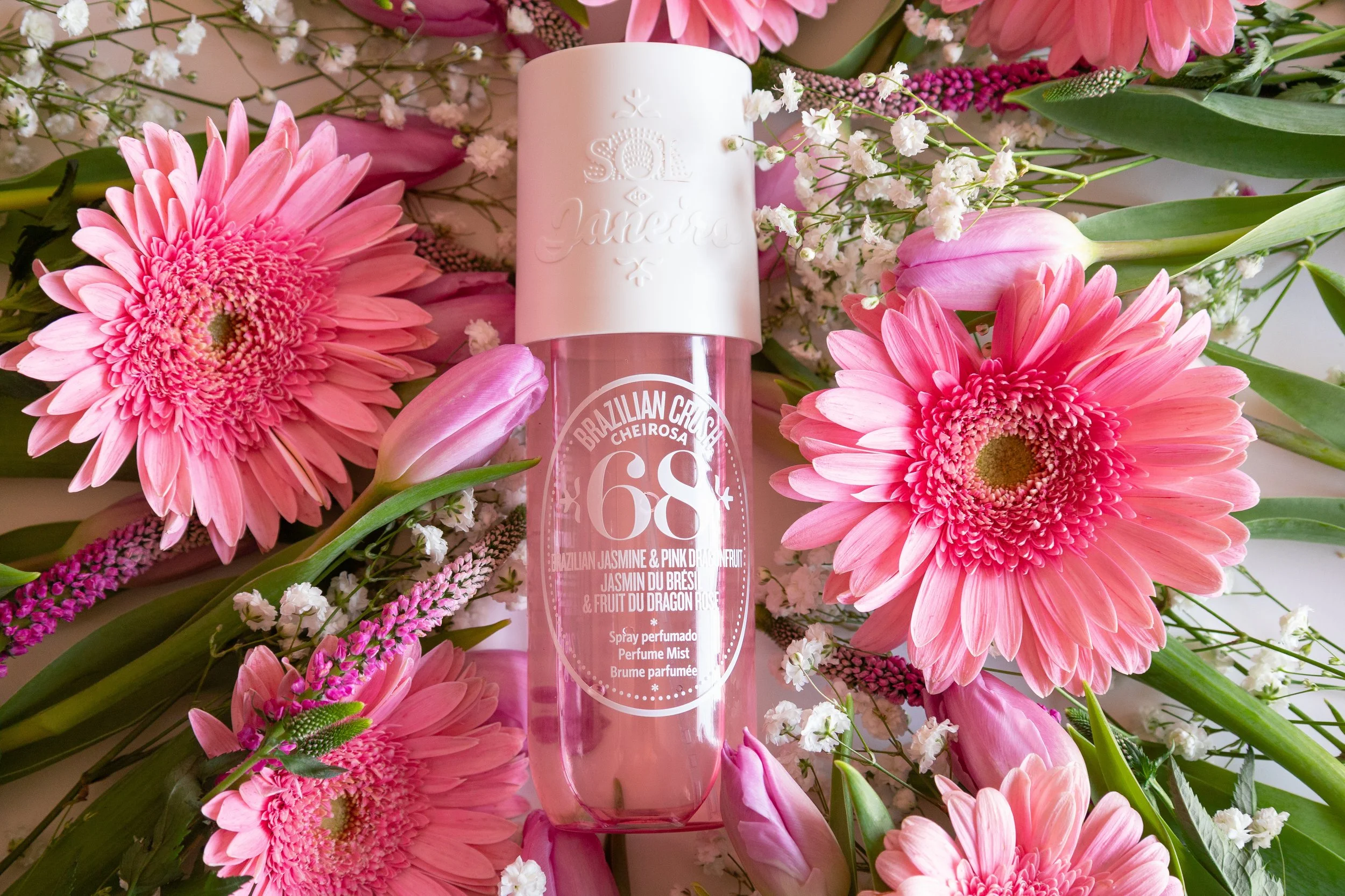 paytonpk_p2-1 copy.jpeg