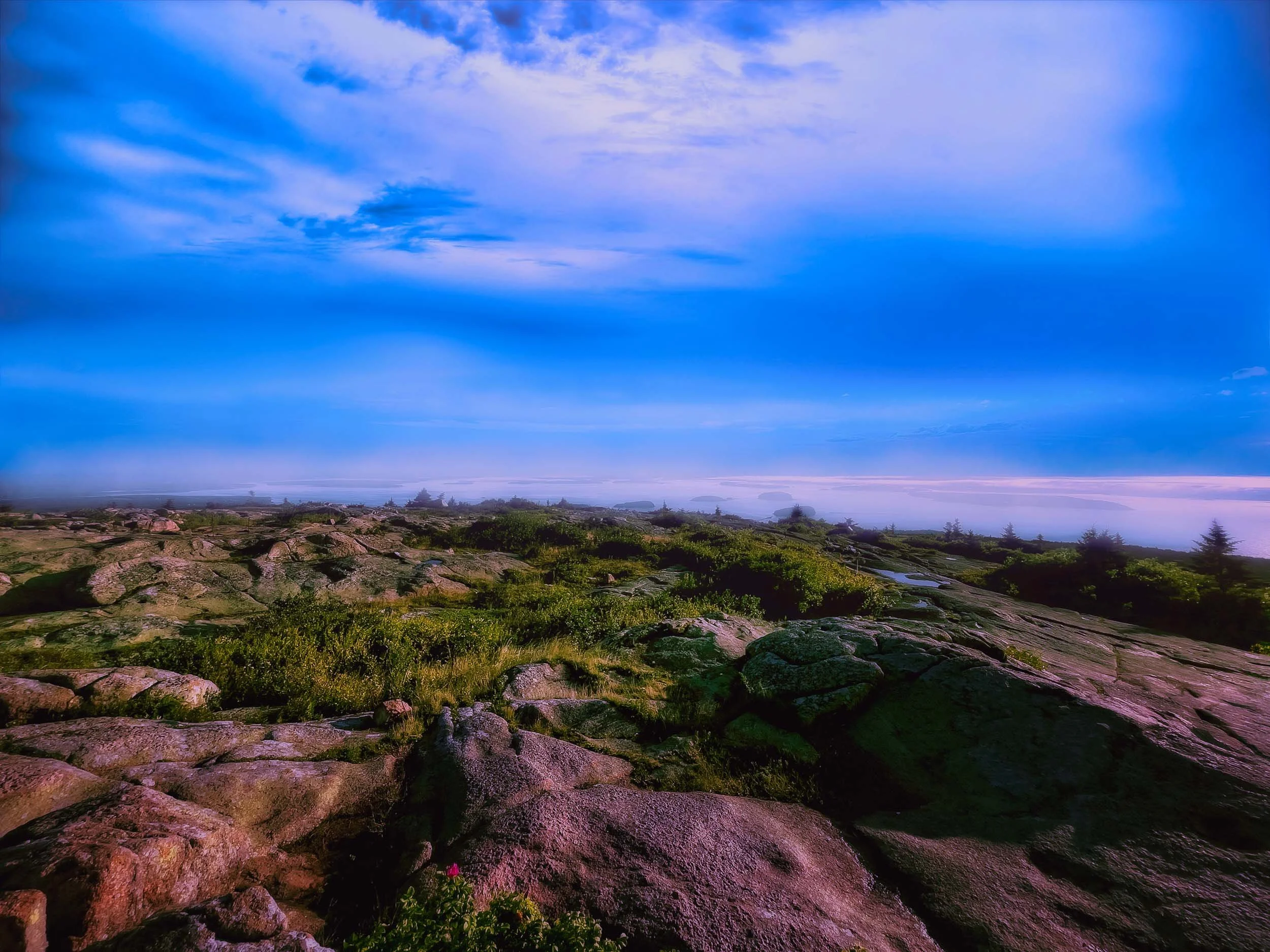 Cadillac Mountain-1.jpg