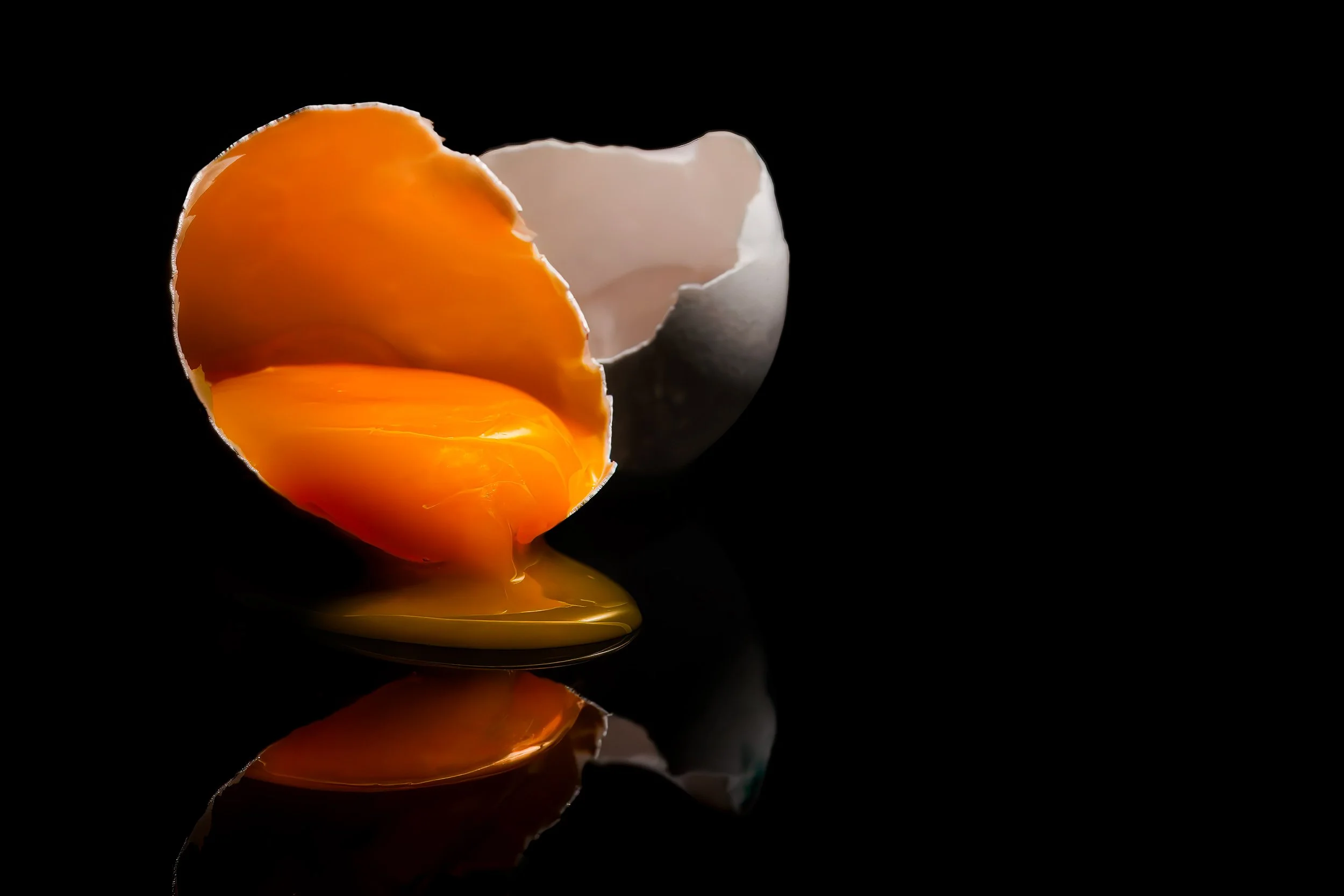 Egg Art-1.jpg