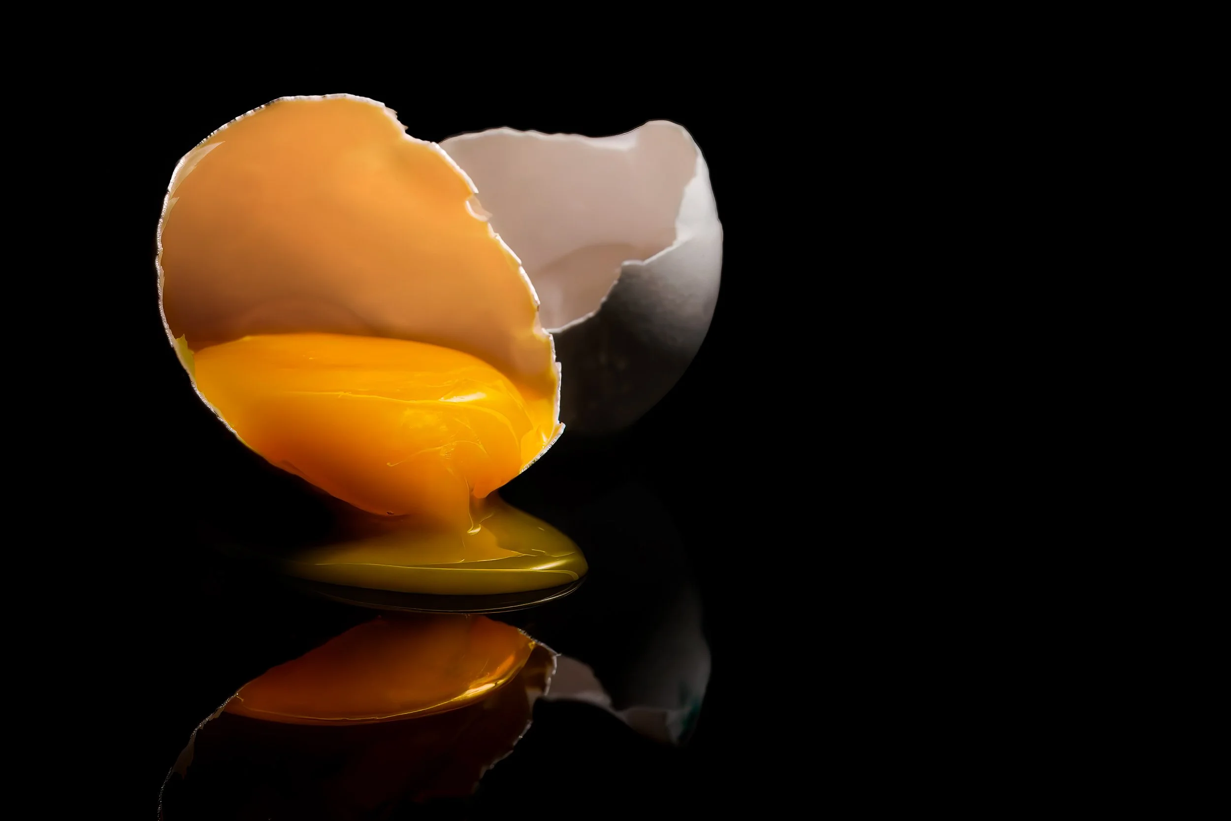 Egg Art-1.jpg