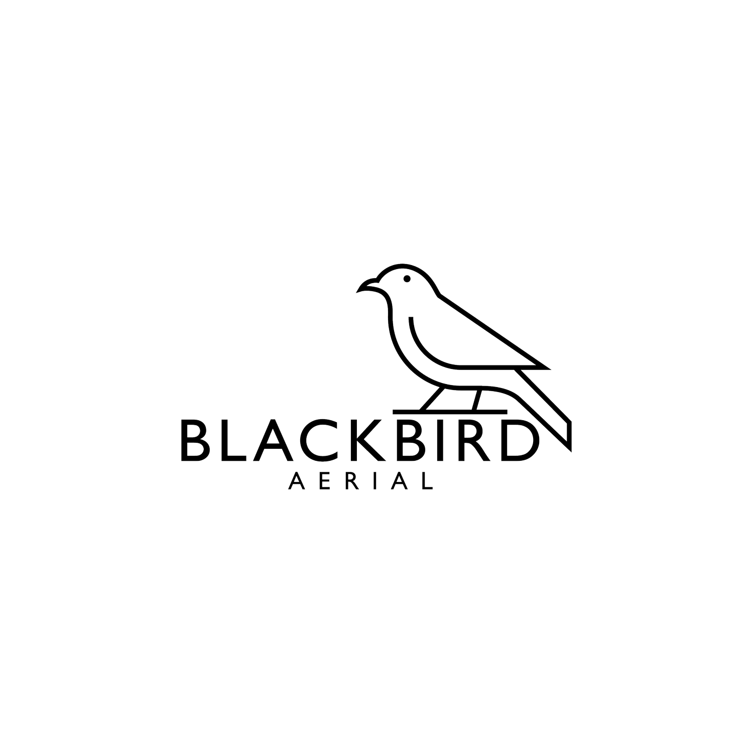 Logo for Blackbird Aerial featuring a outlined blackbird above the company name in bold font.