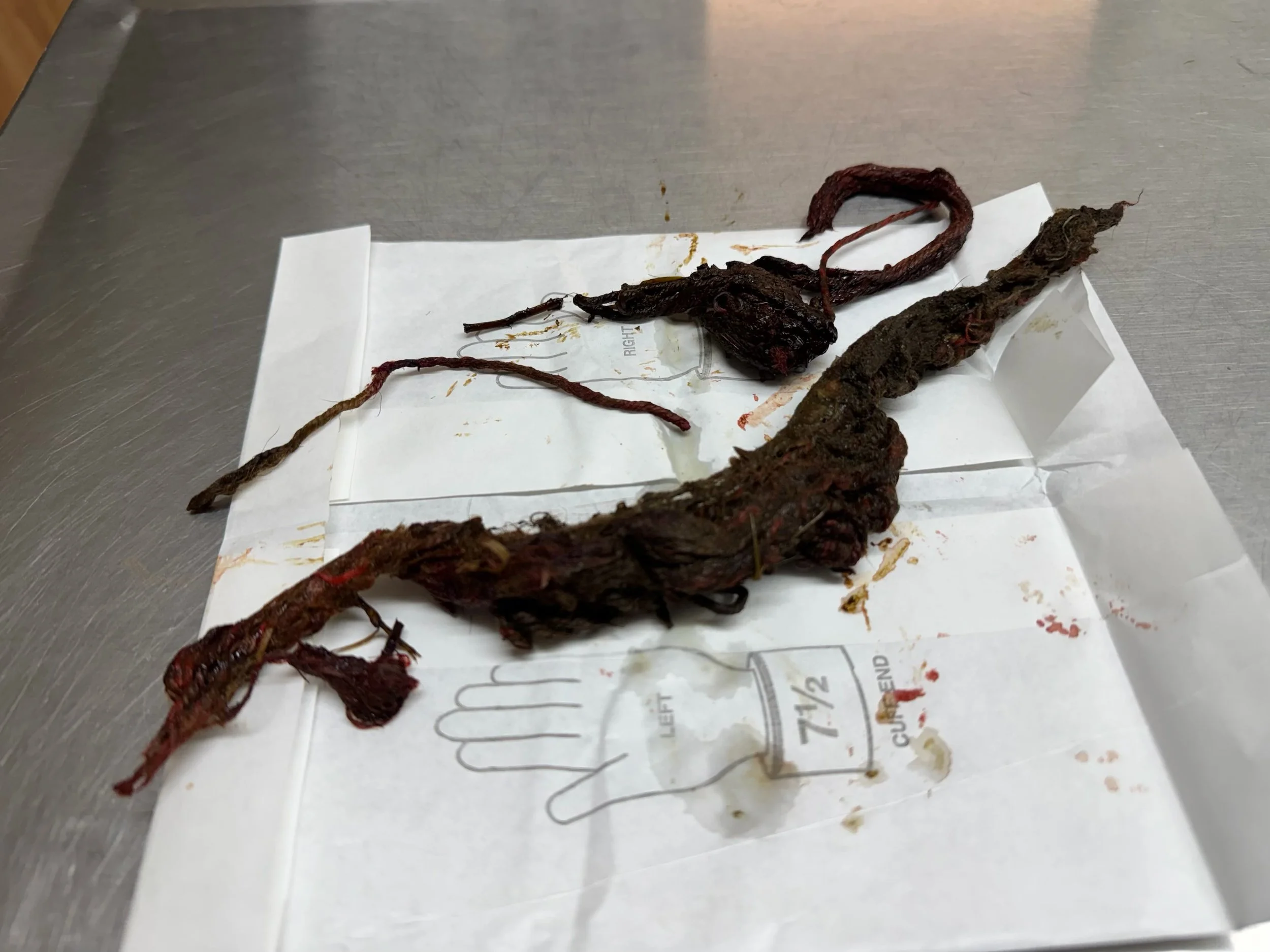 Intestinal foreign body in a dog
