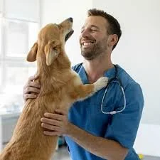 How to Choose the Right Veterinarian For Your Pet.