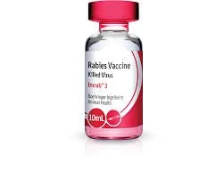 Guide to Vaccines for Dogs, Cats, Puppies, and Kittens