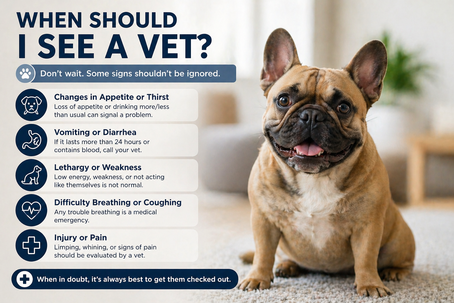 When Should I Take My Dog to the Vet?