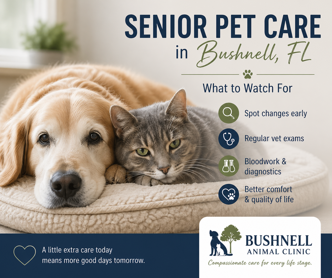 senior pet care bushnel fl
