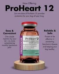 preheart 12