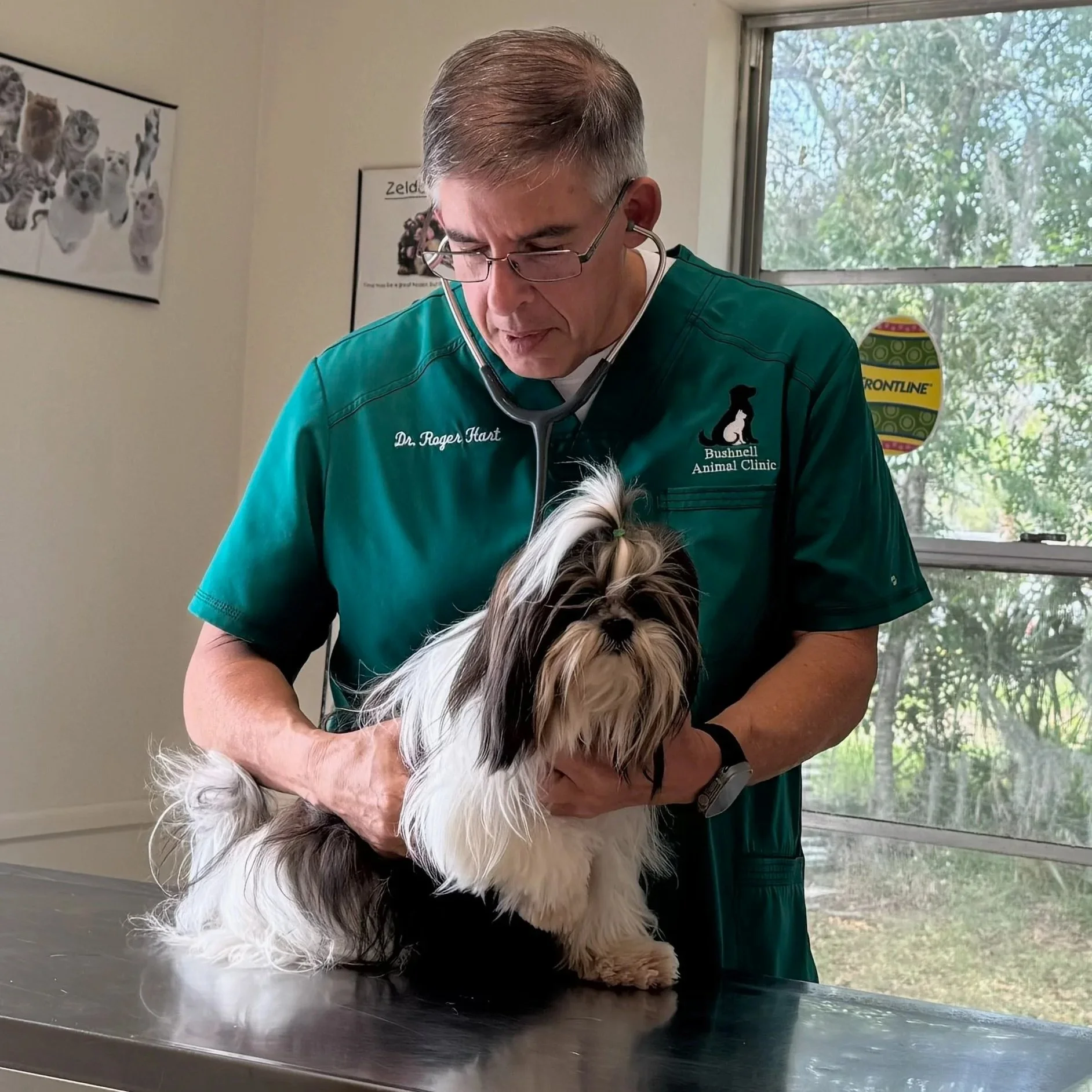 dog examined by dr hart