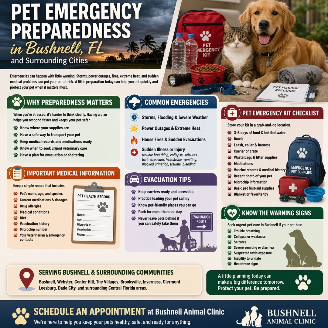 pet emergency plan bushnell vet