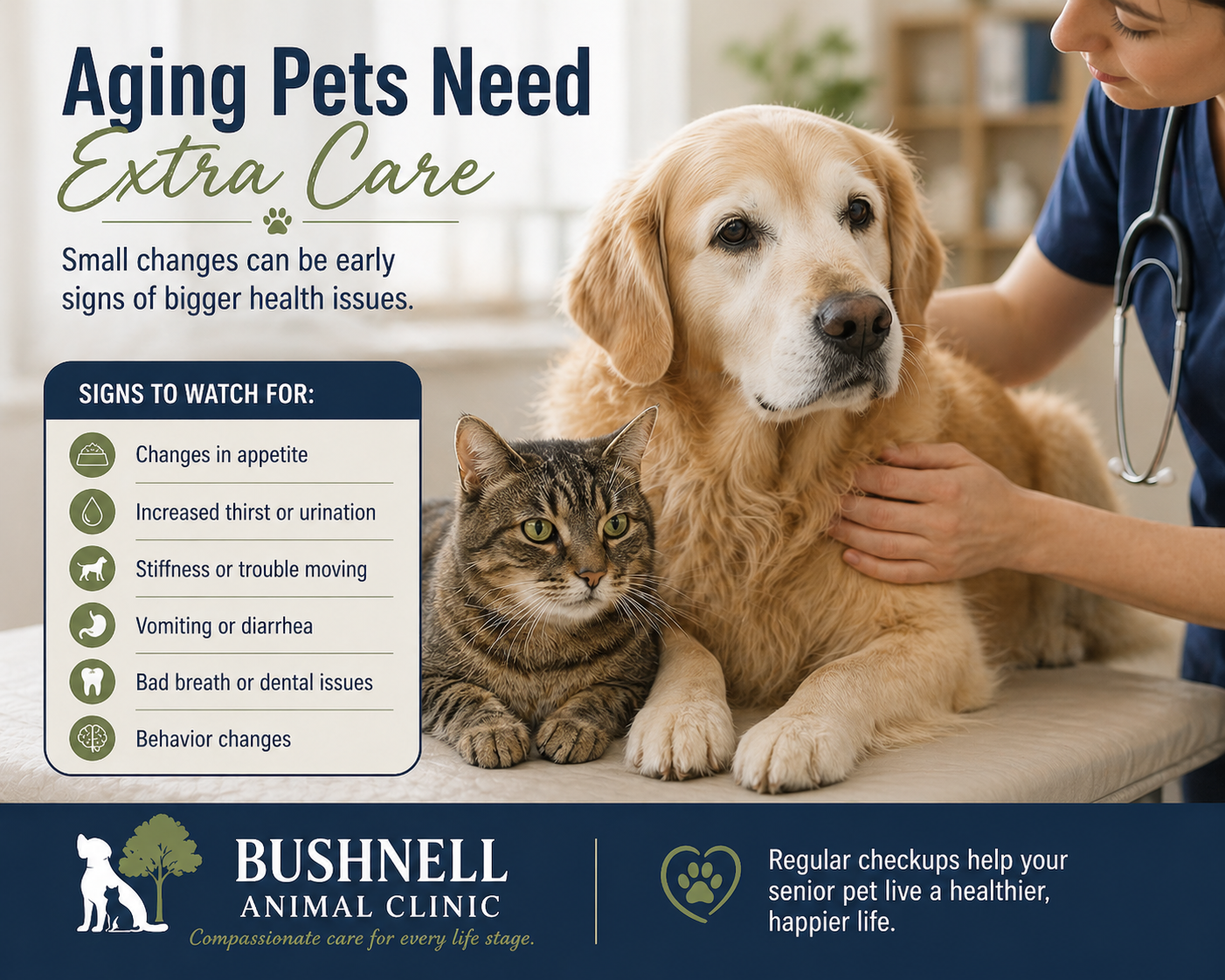 care for old pets ridge manor fl