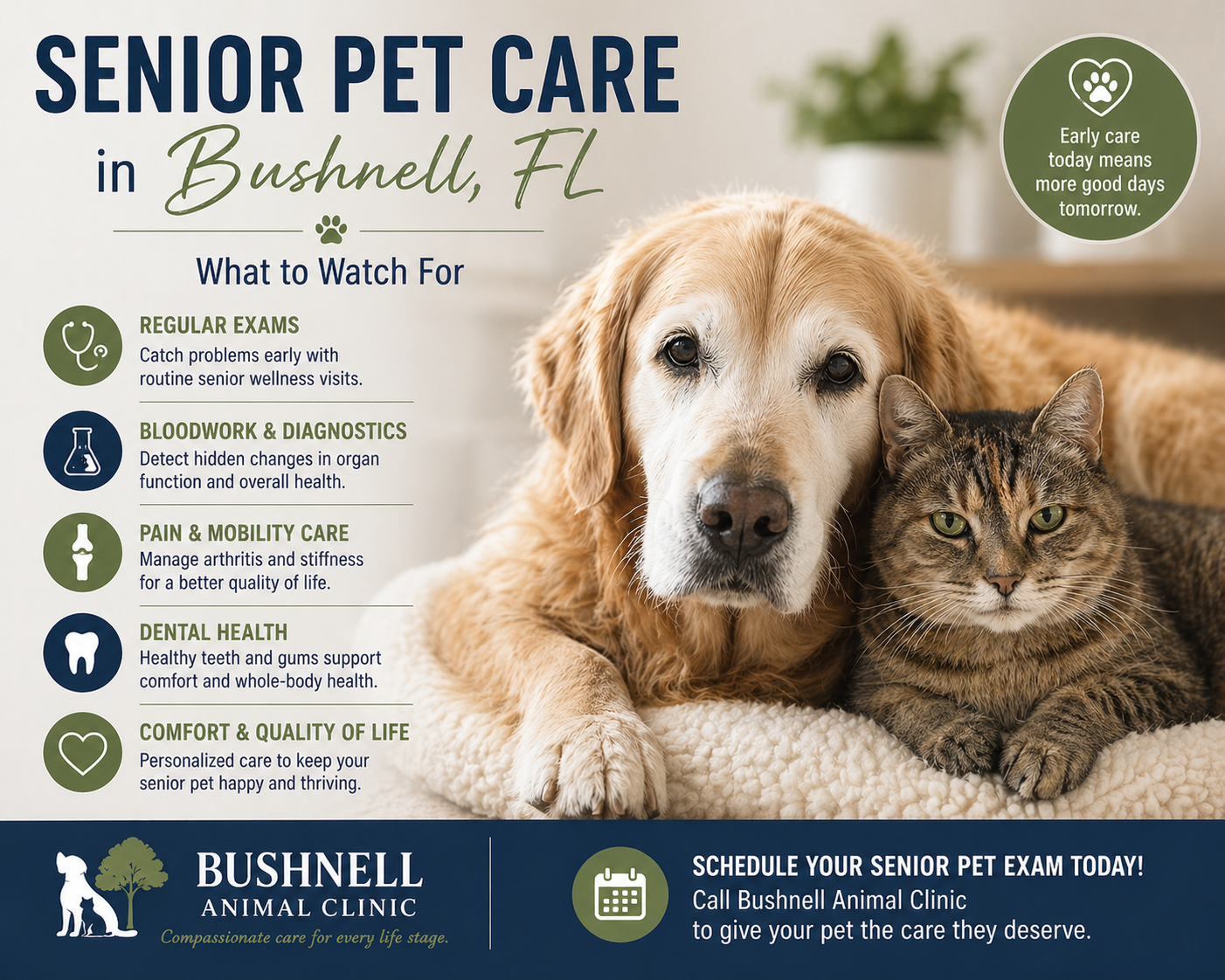 senior pet sickness signs