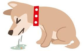dog vomiting