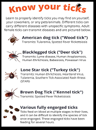 tick identification chart