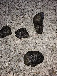black tarry poop