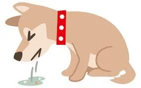 dog vomiting