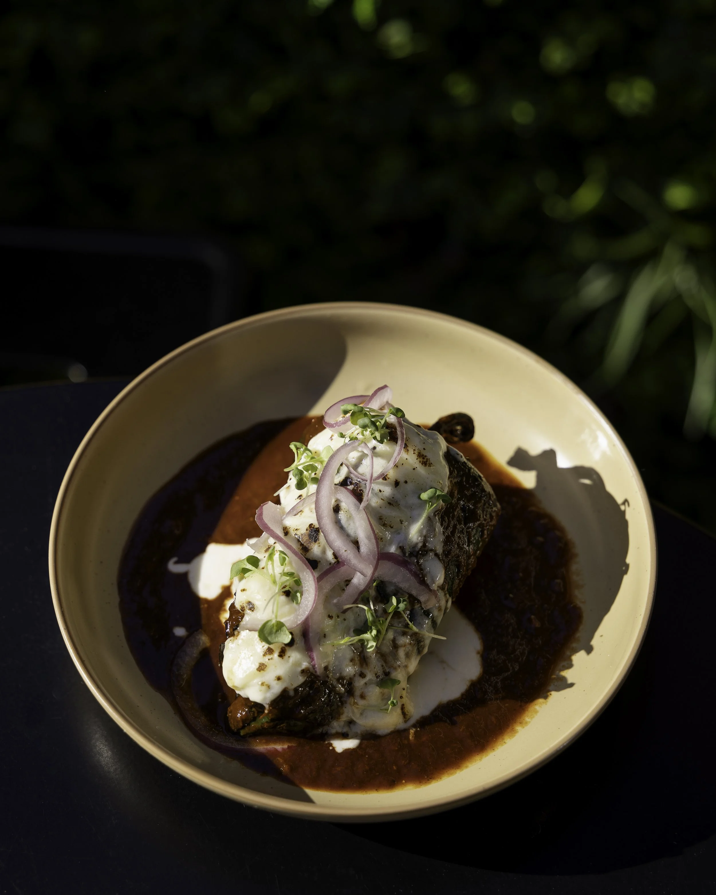 Plate of meat topped with white sauce, garnished with red onion slices and microgreens, on a dark sauce in a beige bowl.