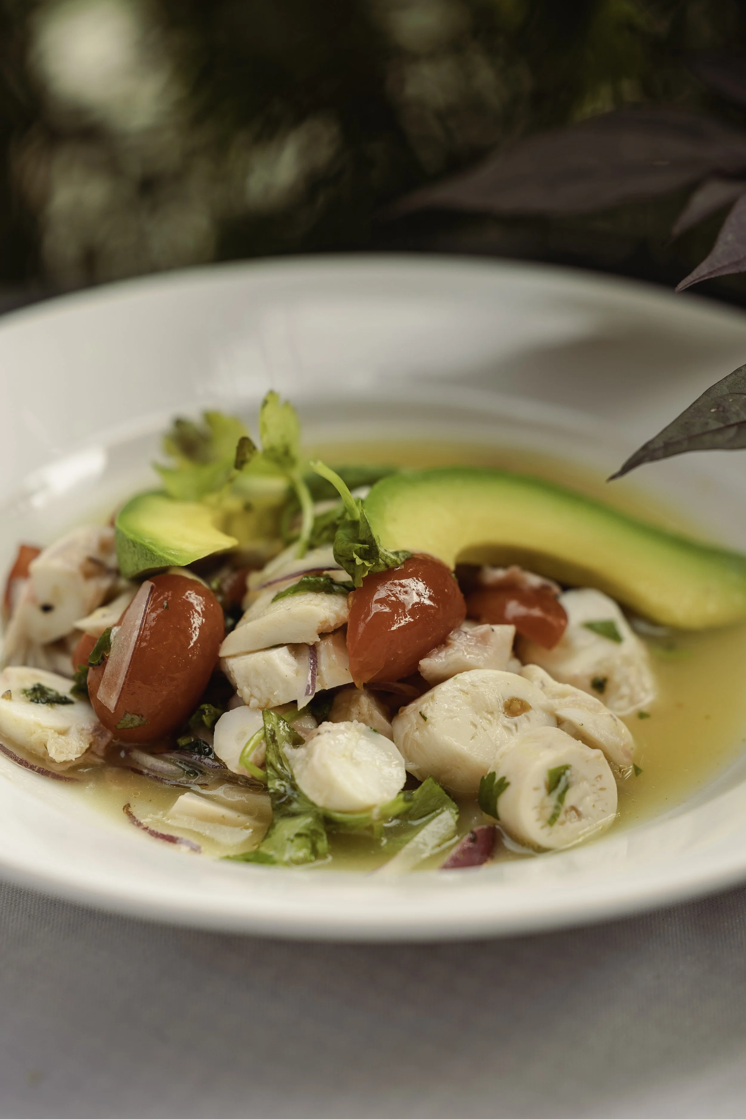 A bowl of ceviche with chunks of fish, cherry tomatoes, sliced red onions, avocado slices, and garnished with cilantro, served with a side of lime.