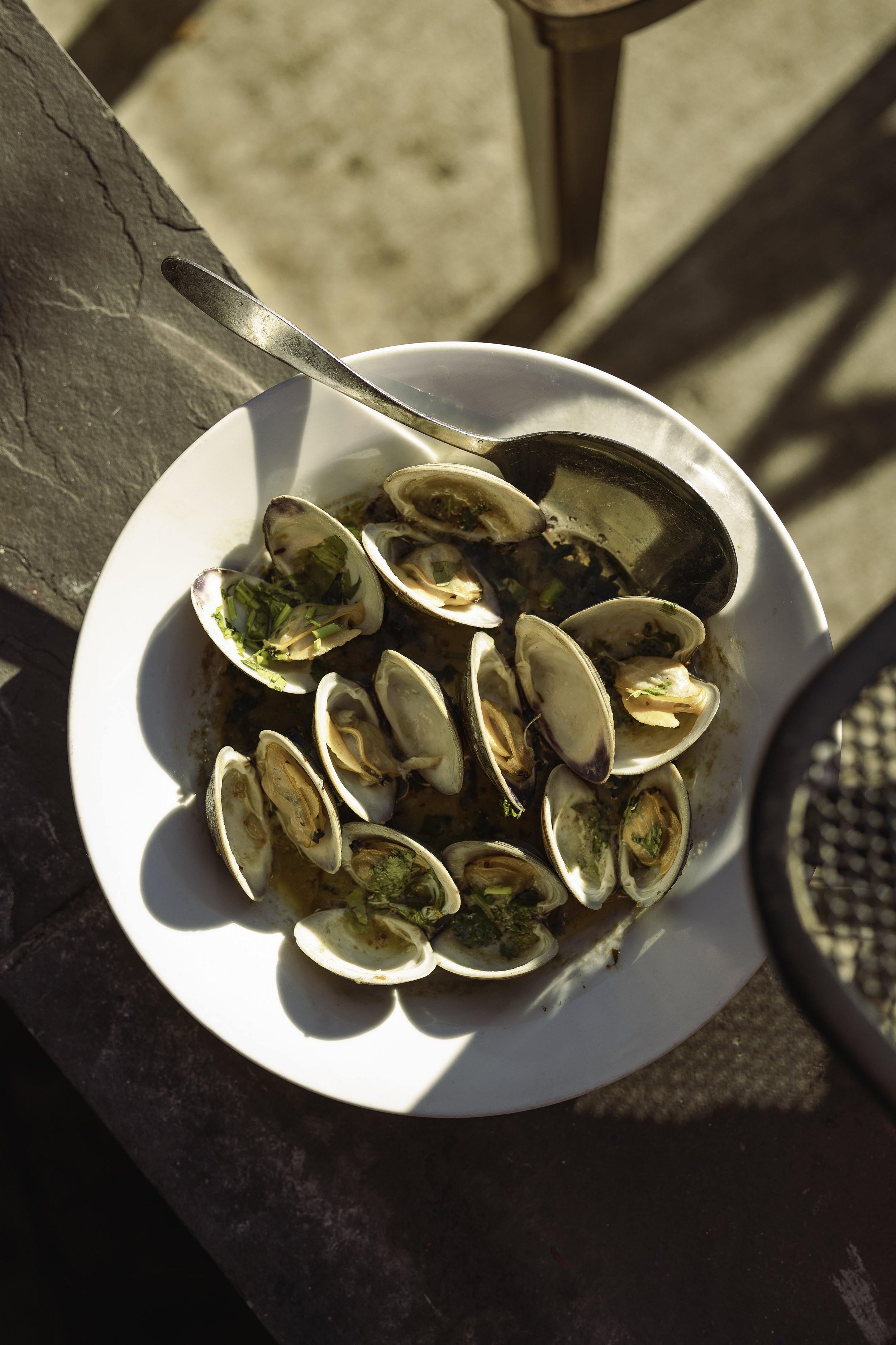 A white bowl filled with cooked clams in seasoning and garnished with green herbs, with a metal spoon inside, sitting on a dark outdoor surface.