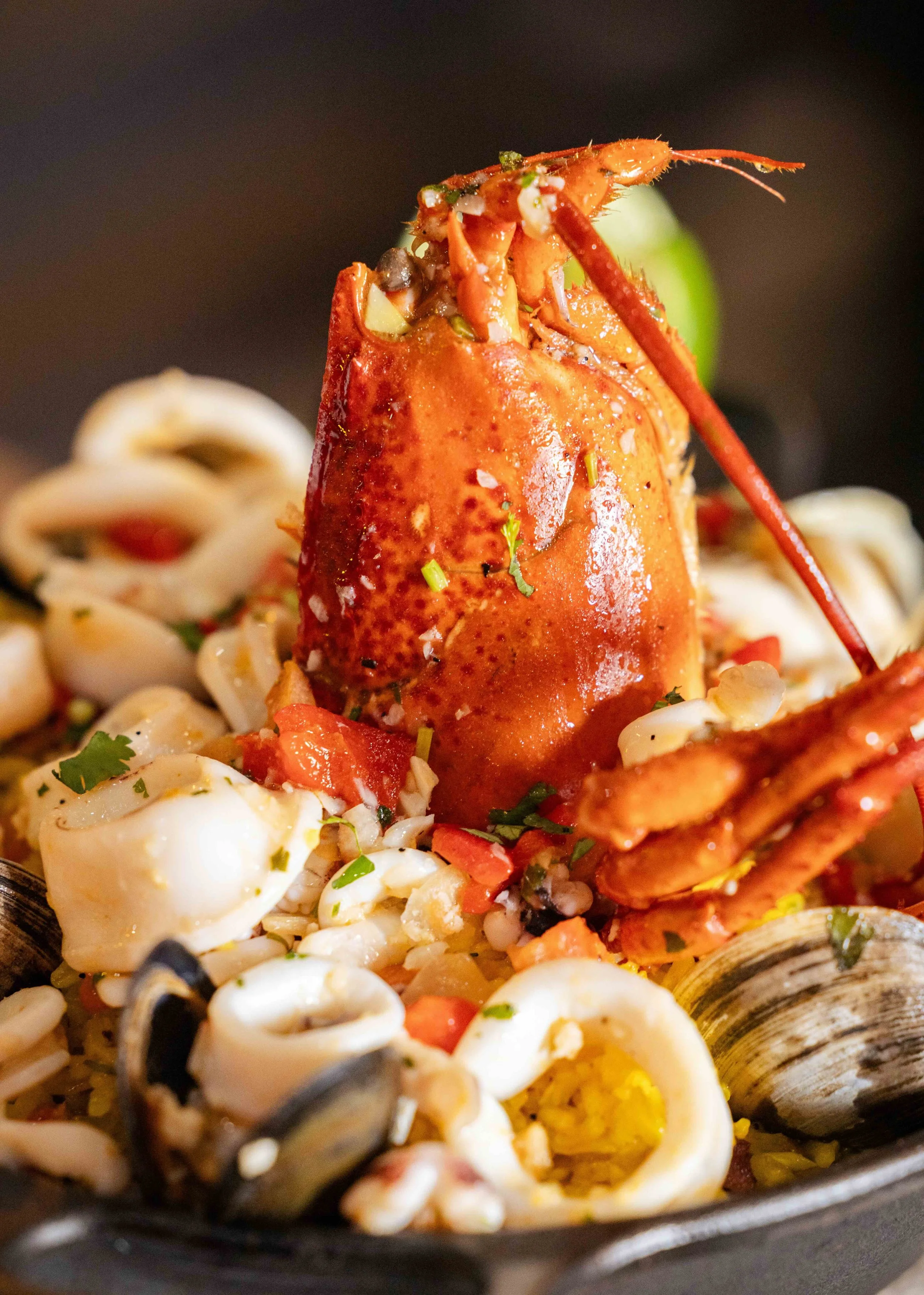 Close-up of a seafood dish featuring a lobster claw atop a bed of pasta with clams, chopped vegetables, and herbs.