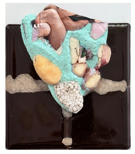 Hedwig Brouckaert
New Earth (small brown iv)
Waste expanded polystyrene collected from New York Harbor, Paper Pulp, Magazine pages, Acrylic paint on Ceramic Tiles 6 x 6.5x 1 "
2025
