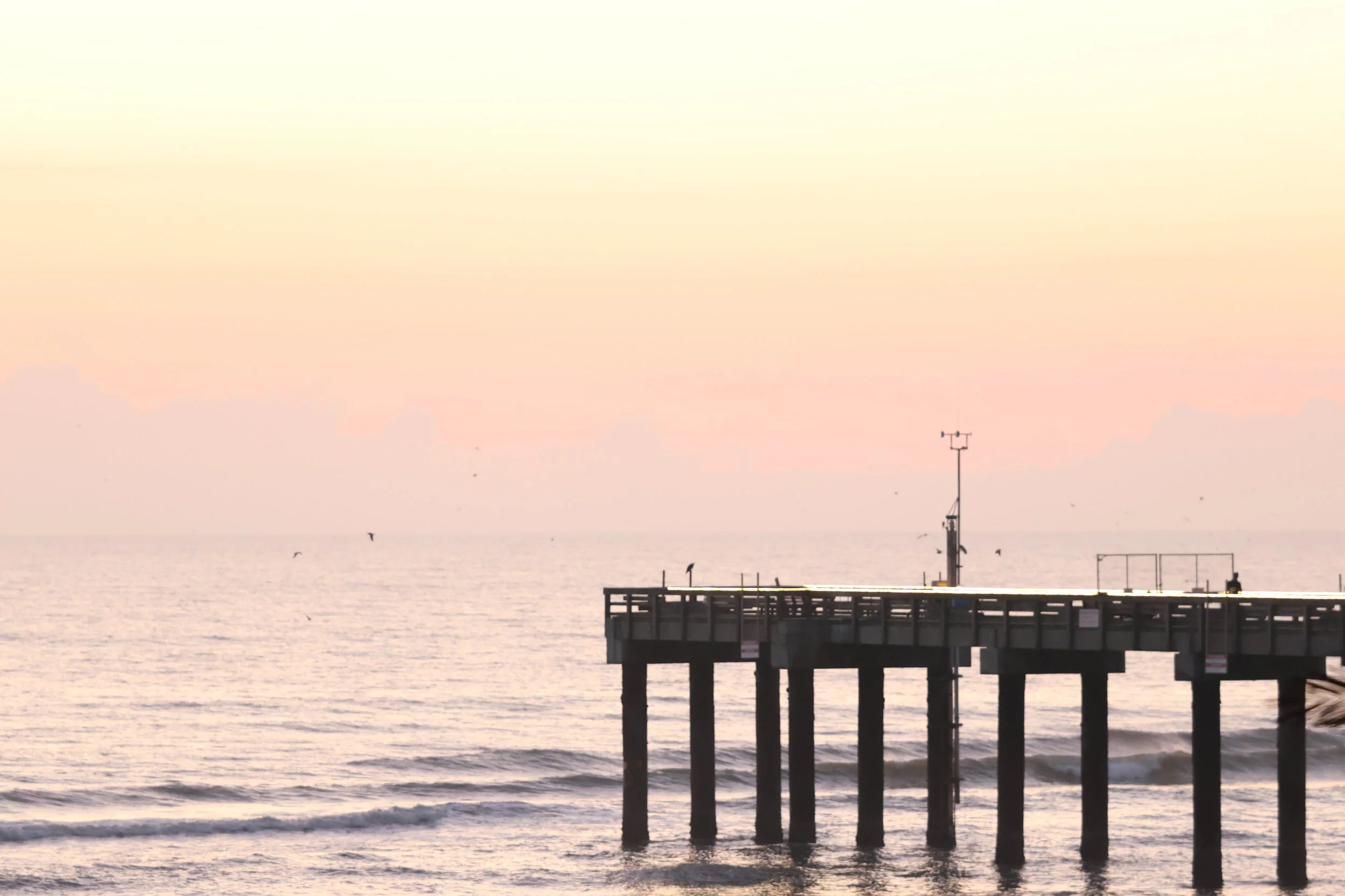 A pier extending into the water during sunset with a pastel-colored sky, calm waves, and birds flying above.
