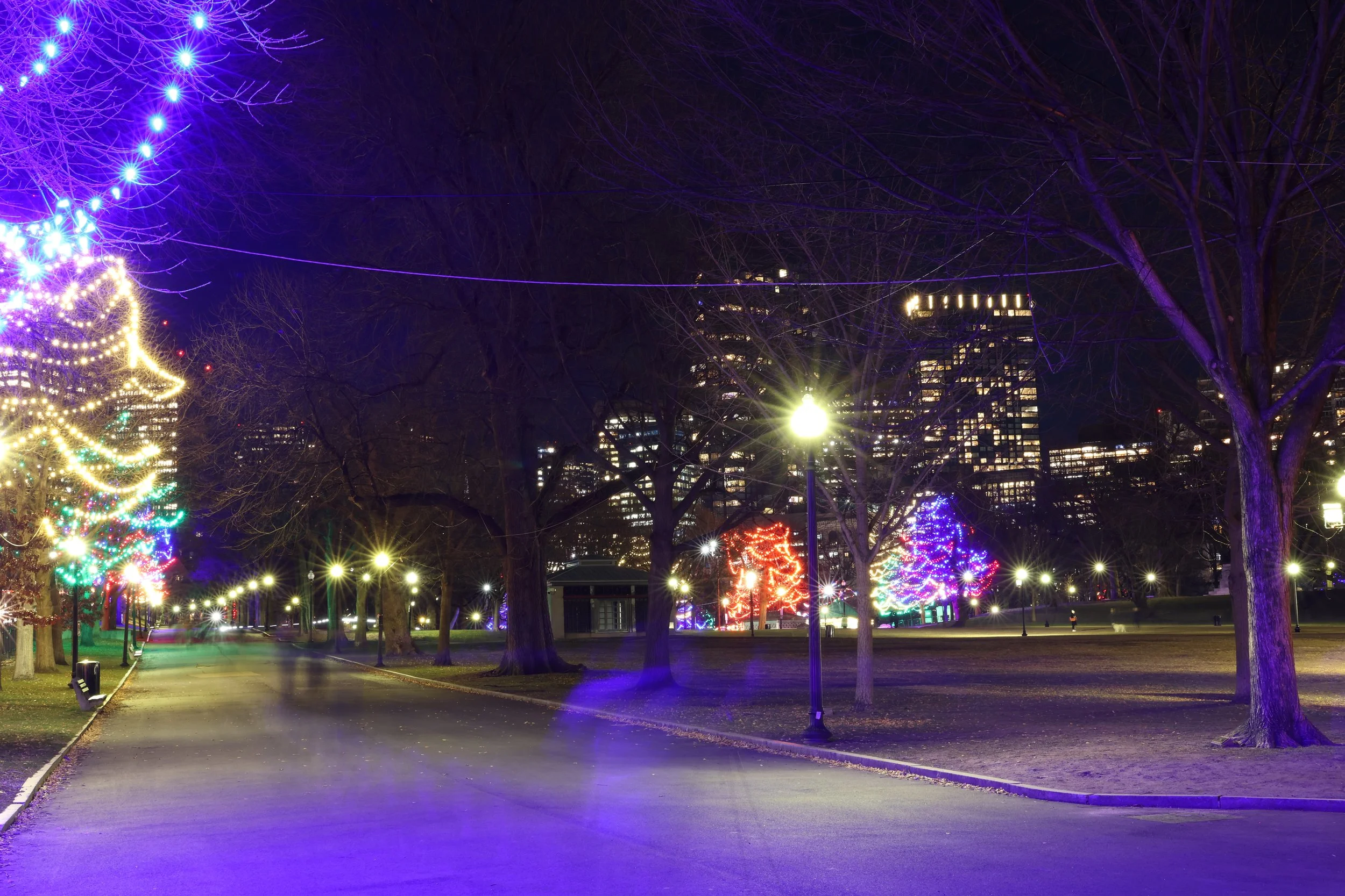 A park at night decorated with colorful Christmas lights on trees and a lit Christmas tree, with city buildings lit in the background.