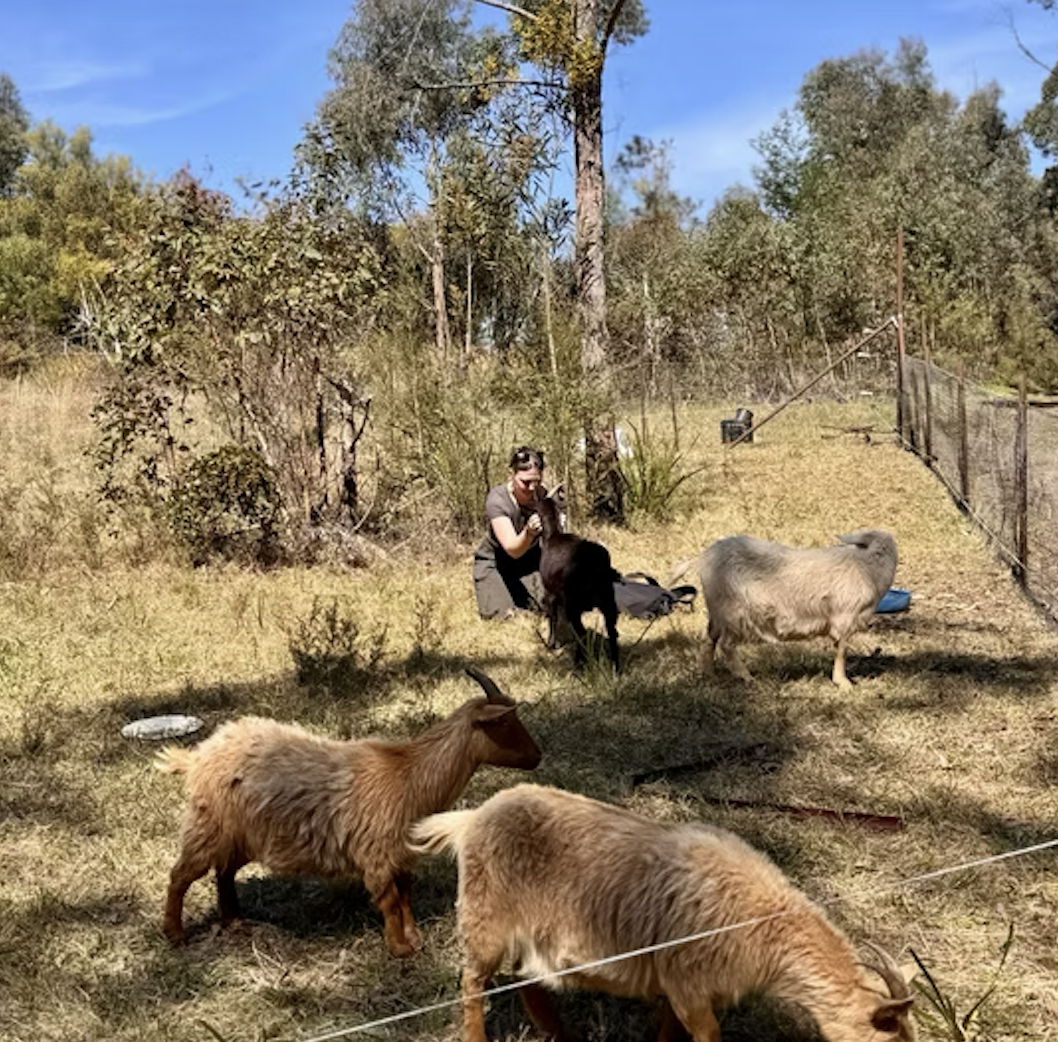 Screenshot 2026-02-22 at 3.51.26 pm.png