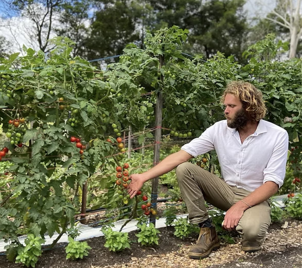 Screenshot 2026-02-22 at 3.39.40 pm.png