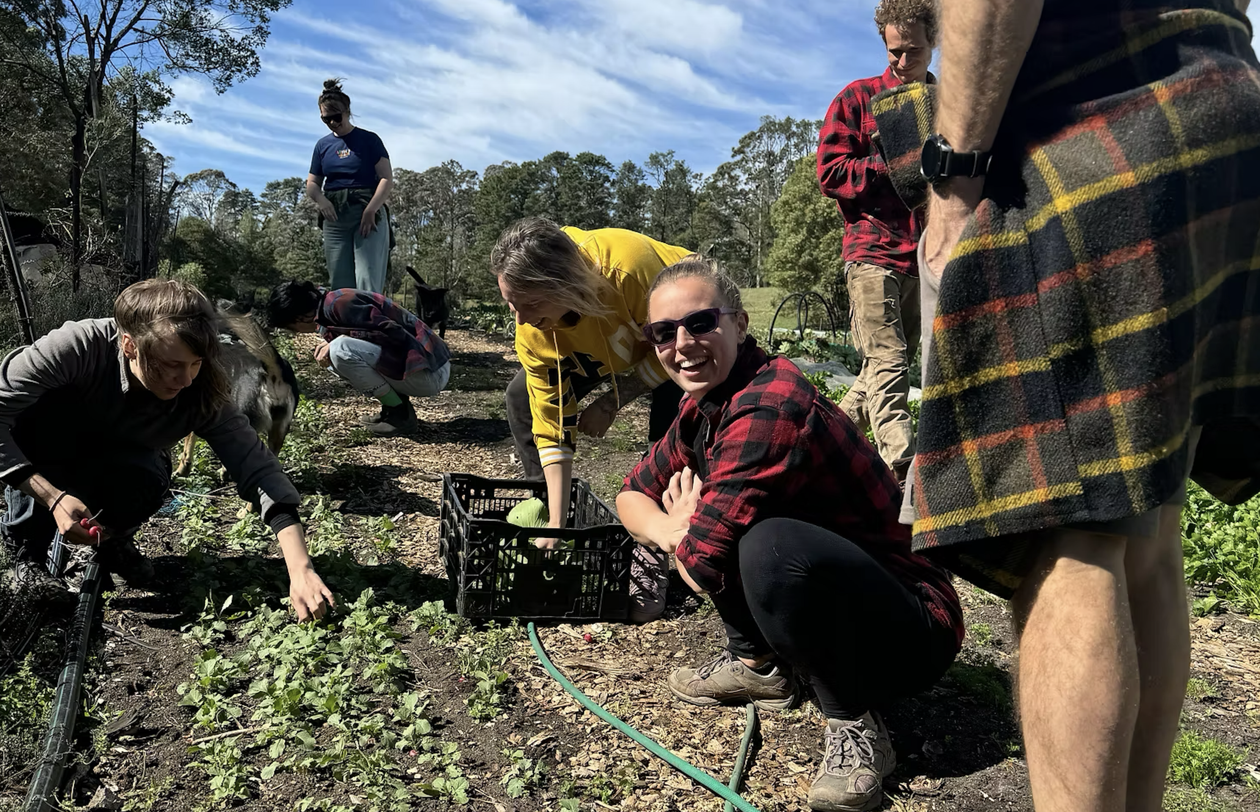 Screenshot 2026-02-22 at 3.04.21 pm.png