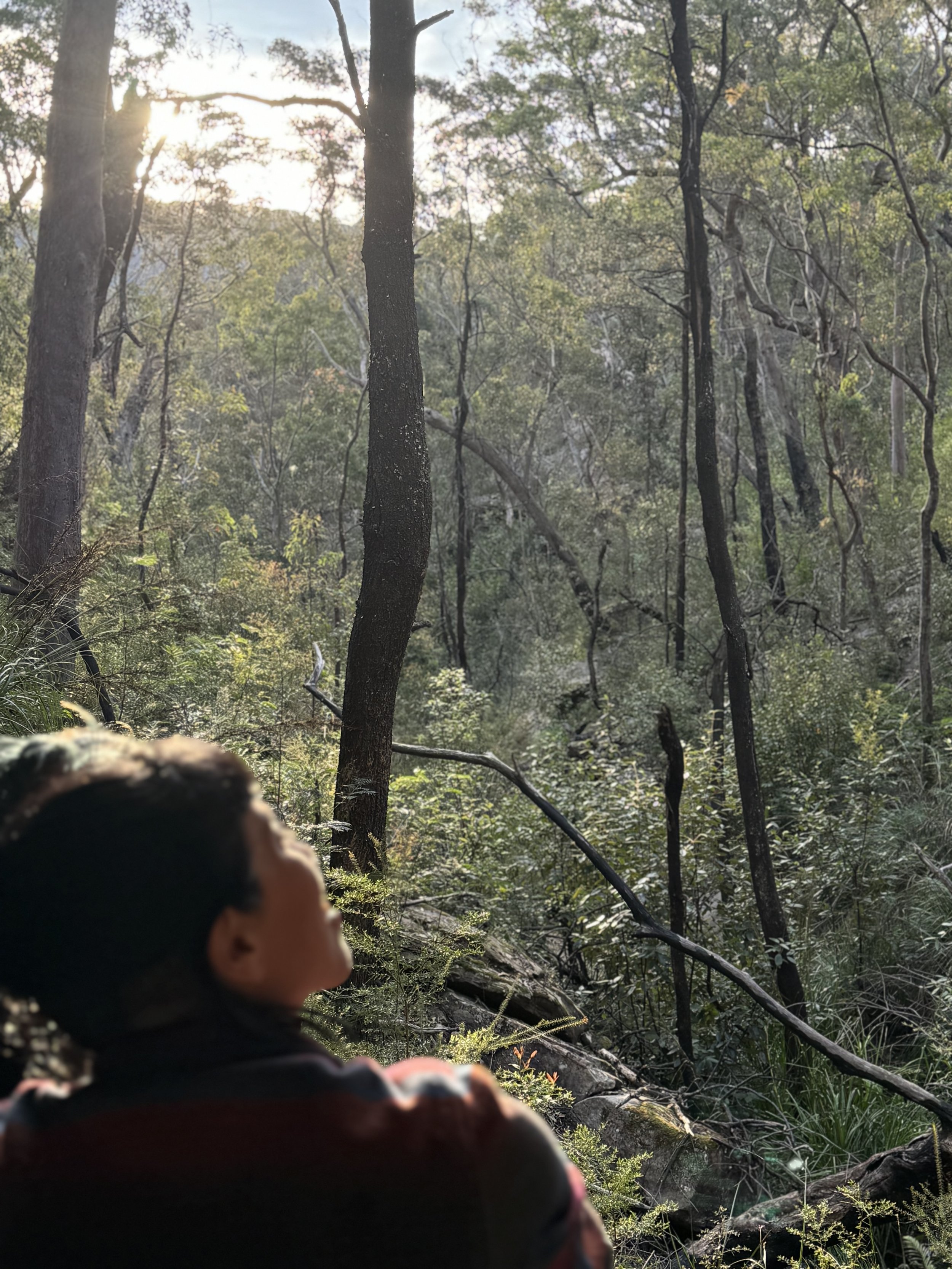 What is a Bush Retreat?