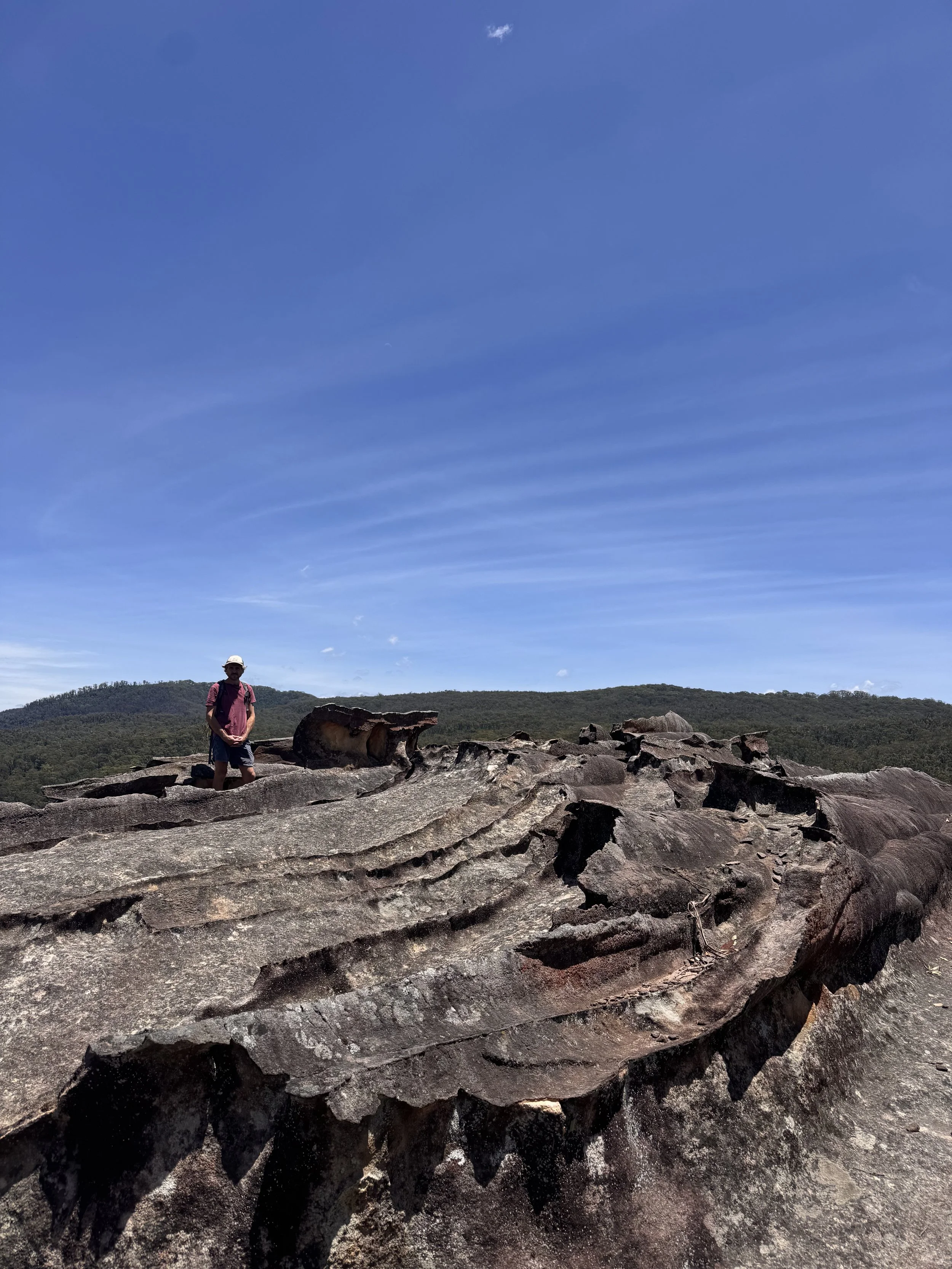 Discover Day Experiences in Bilpin