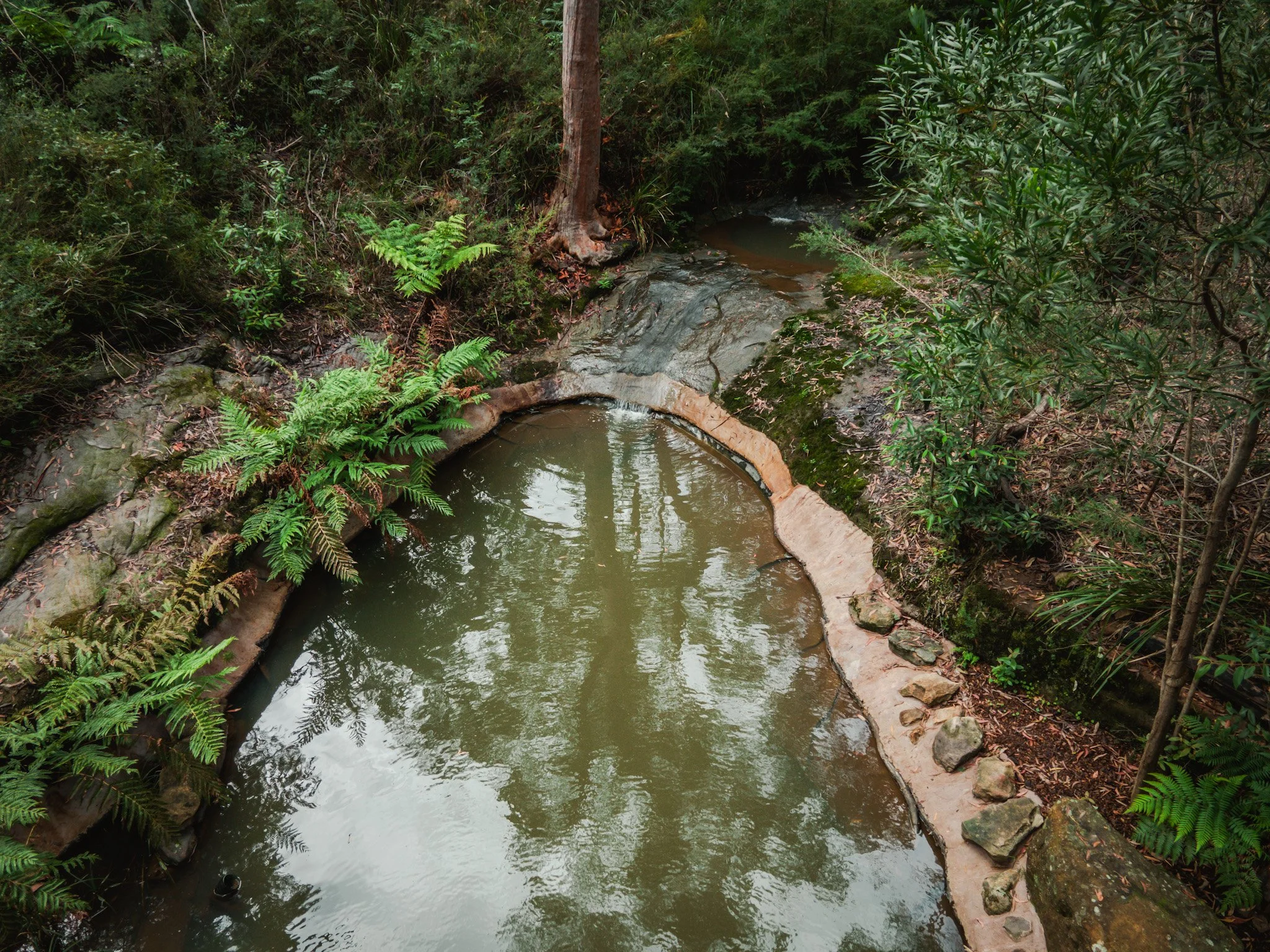 DJI_0784.jpg