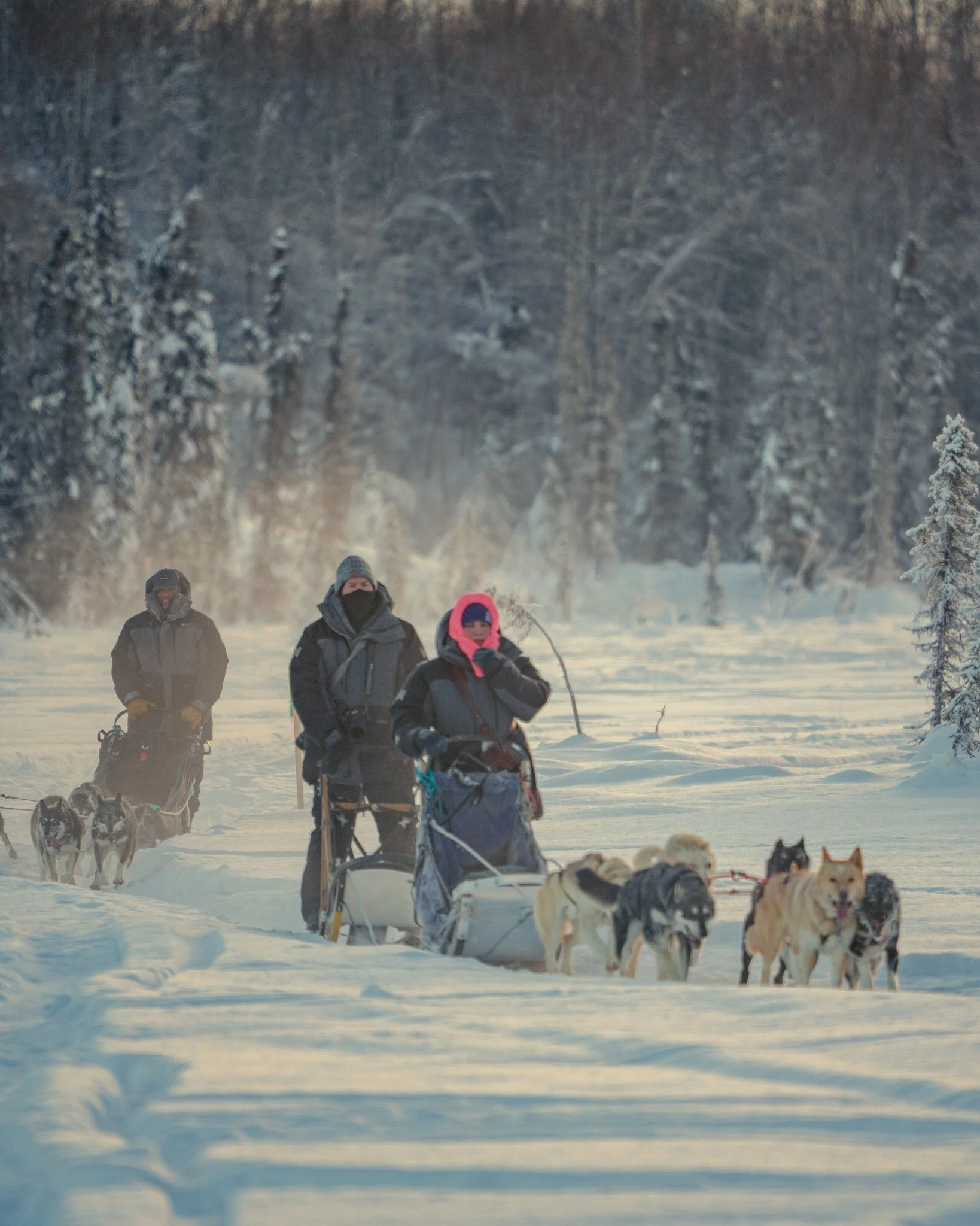 Alaska 2023-3.jpg