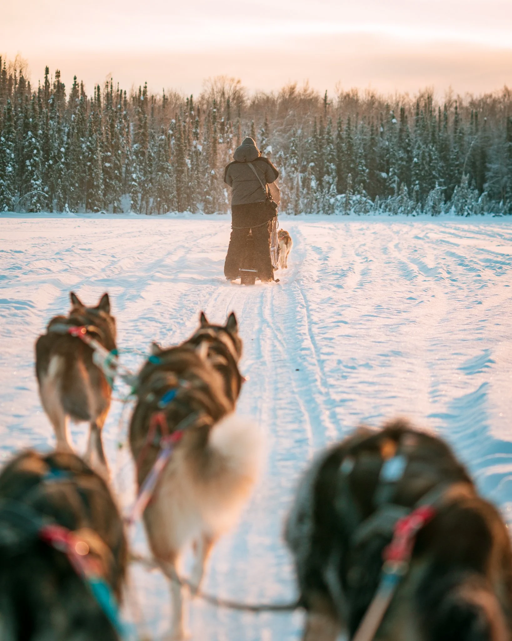 Alaska 2023-2.jpg