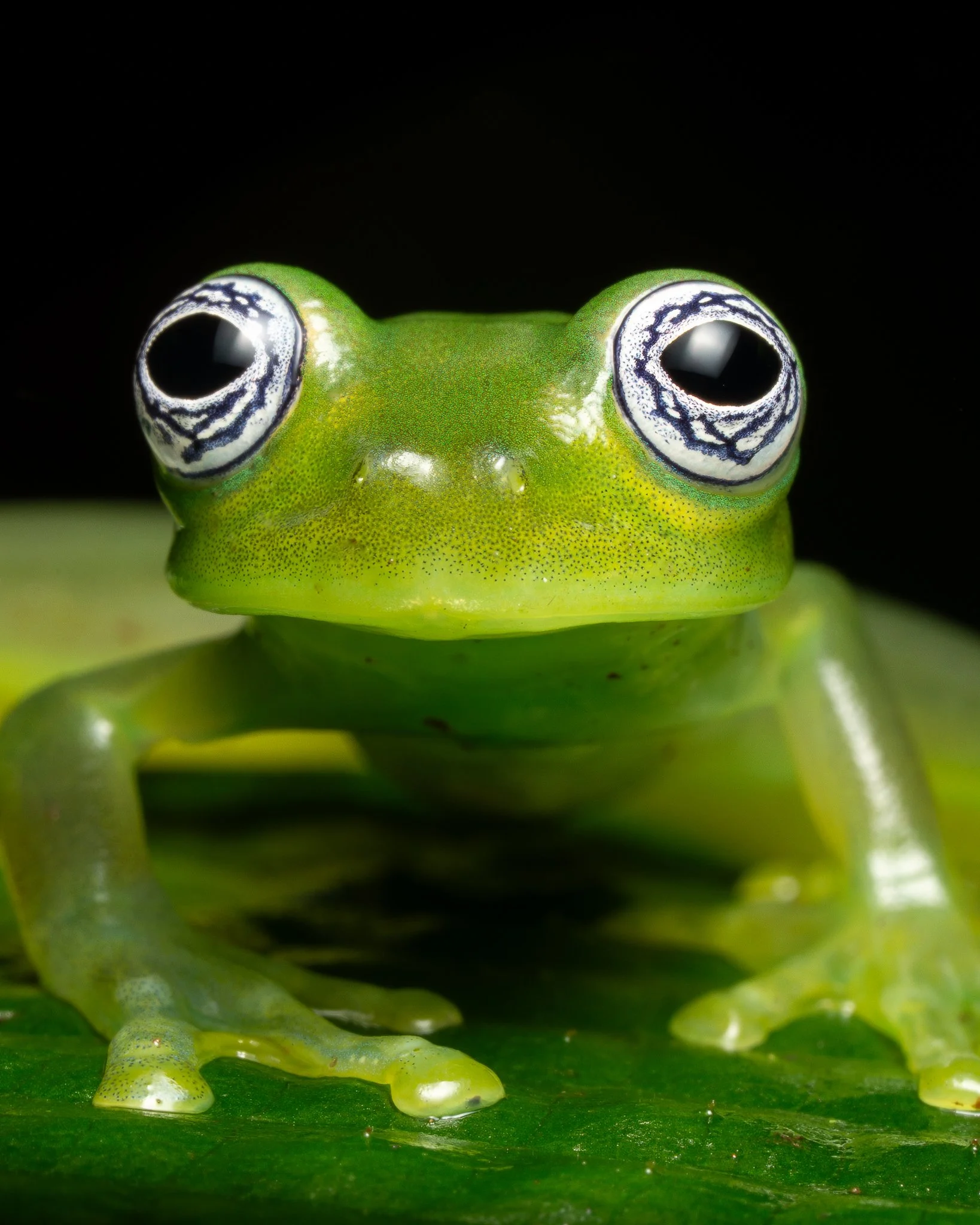 Costa Rica - Turrialba Feb 2024-7.jpg