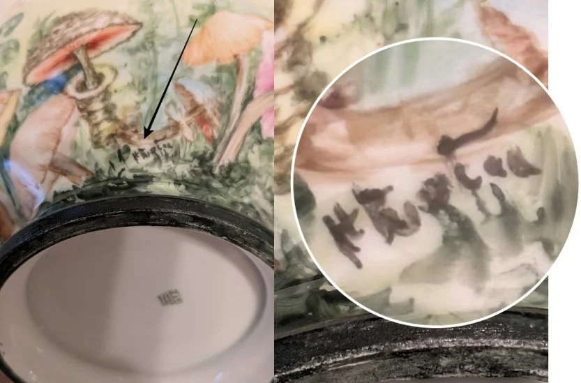 5837-Antique T&V Limoges Centerpiece Bowl 1892-1907 Handpainted Mushrooms-closeup-signed-area-by-artist-combind-833 x 700.jpg