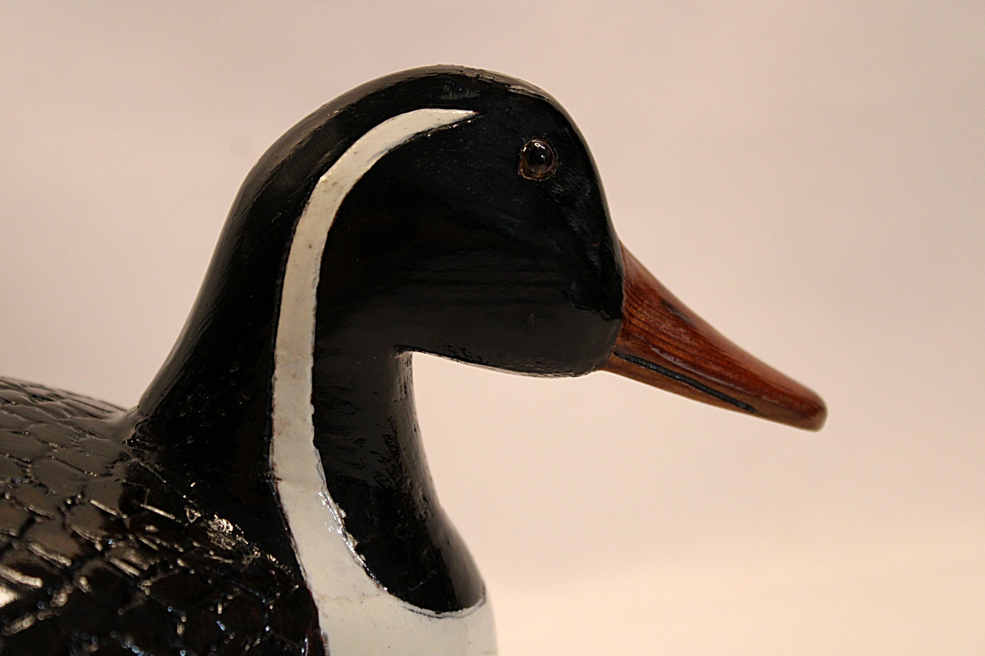 Oregon Pintail Drake Decoy-Joe-Mathias-Hed View-facing Right-2000 x 1333.JPG