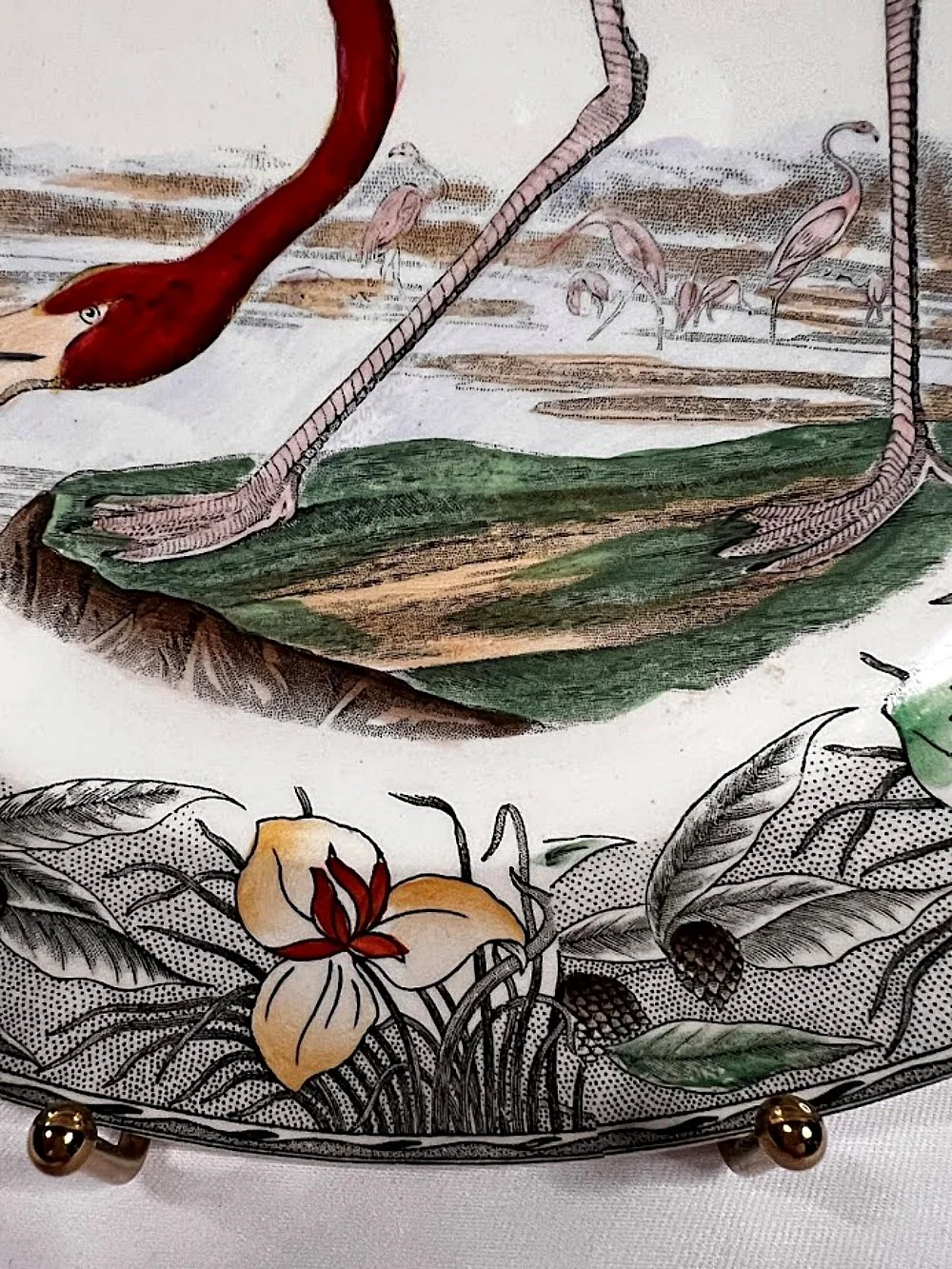 5593-william-adams-england-audobon-flamingo-plate-bottom-rim-1000 x 1333.jpg