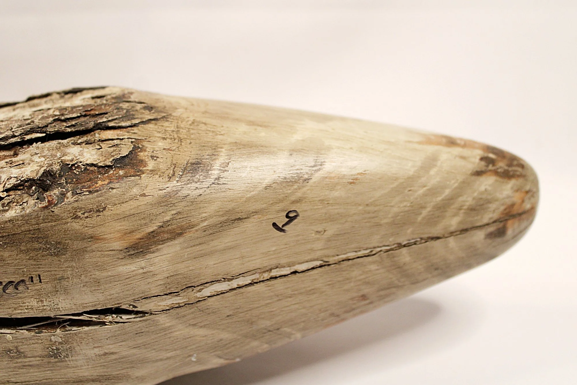 CHRIS BOONE Vintage Wooden Swan Decoy Signed Dated-Under-Tail-View-View-2000 x 1333.JPG